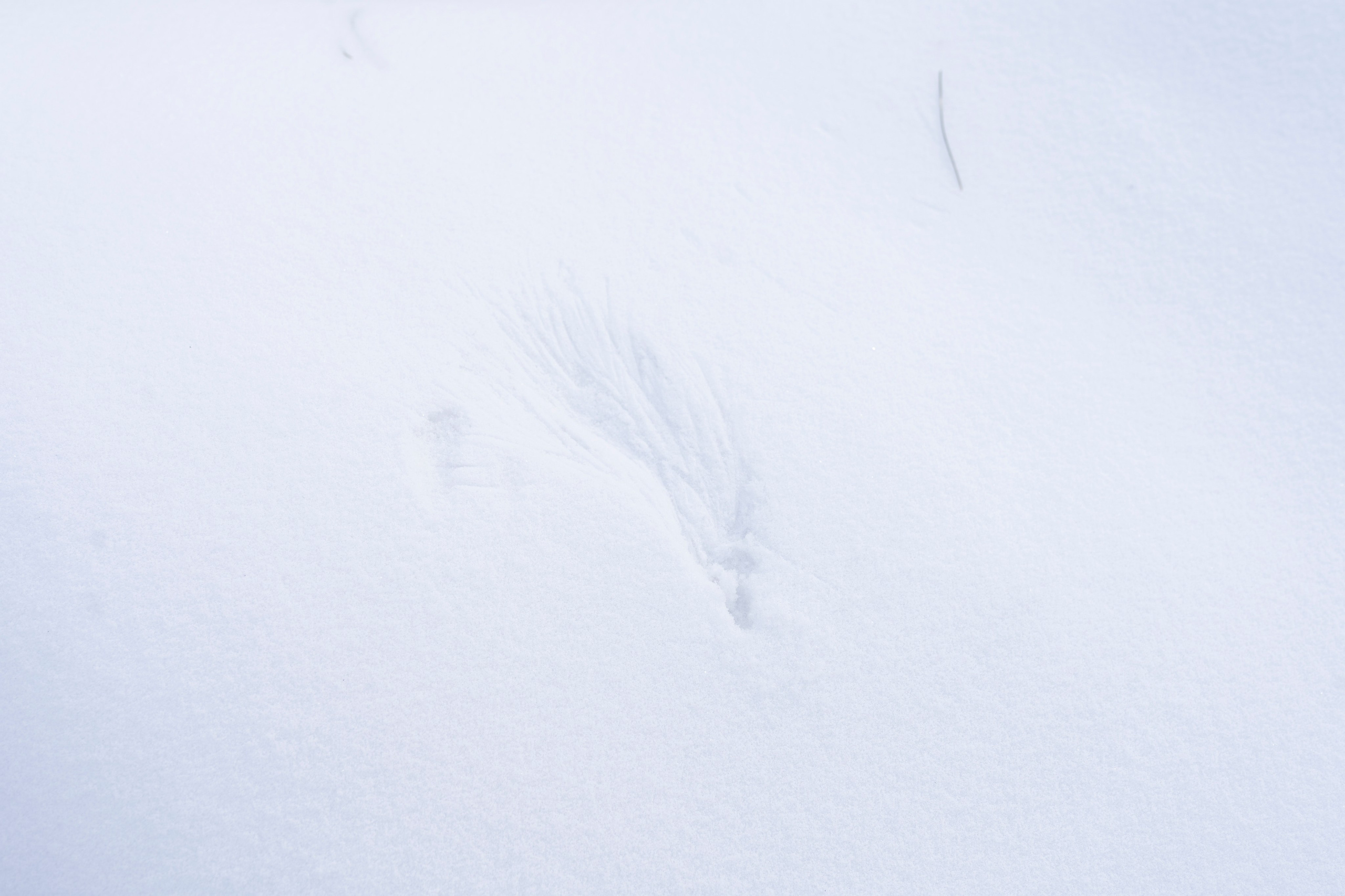 Фото практика: Смотри глубже. Семейный и детский фотограф в Хабаровске Ковалева Таисия