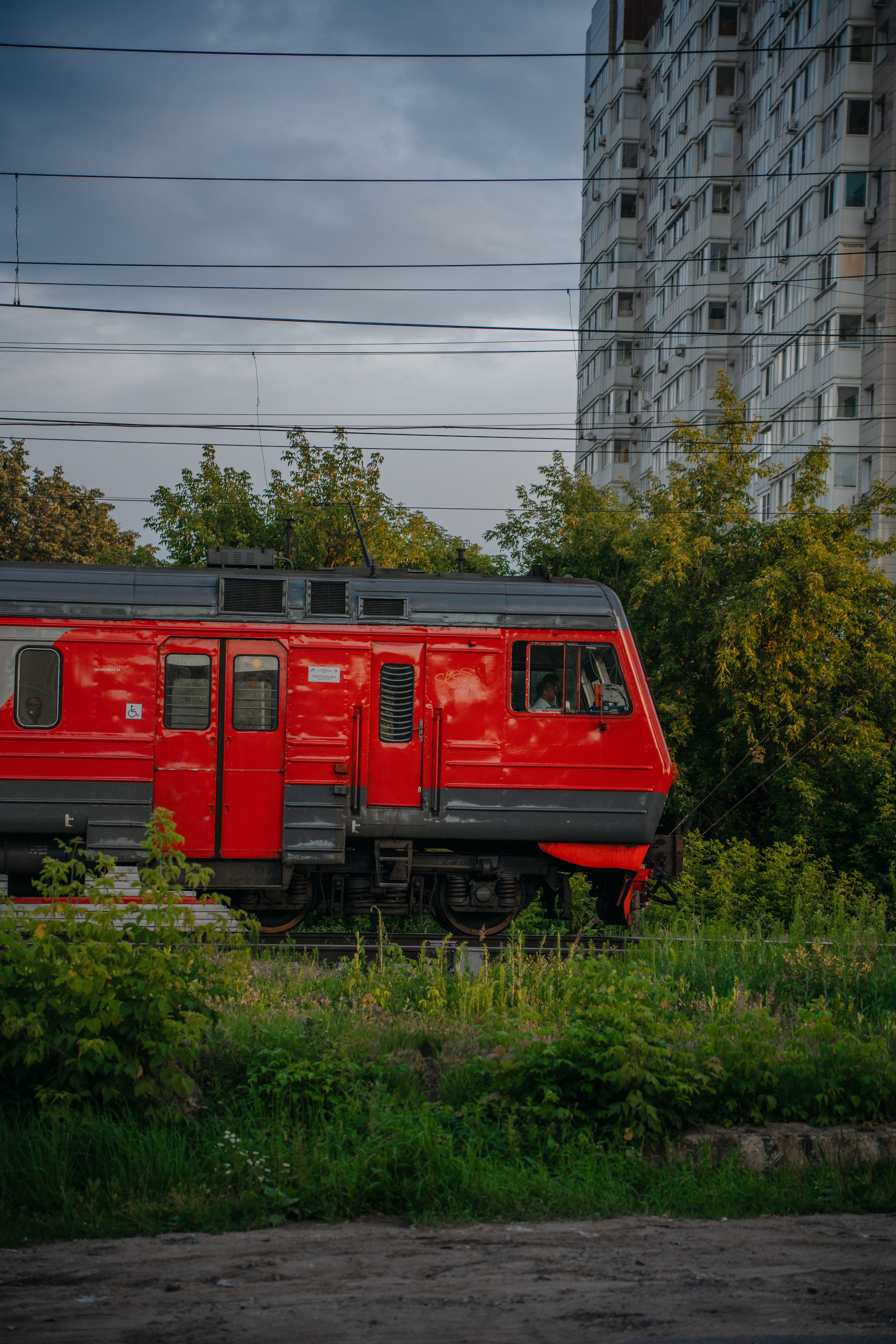 Timofey3011