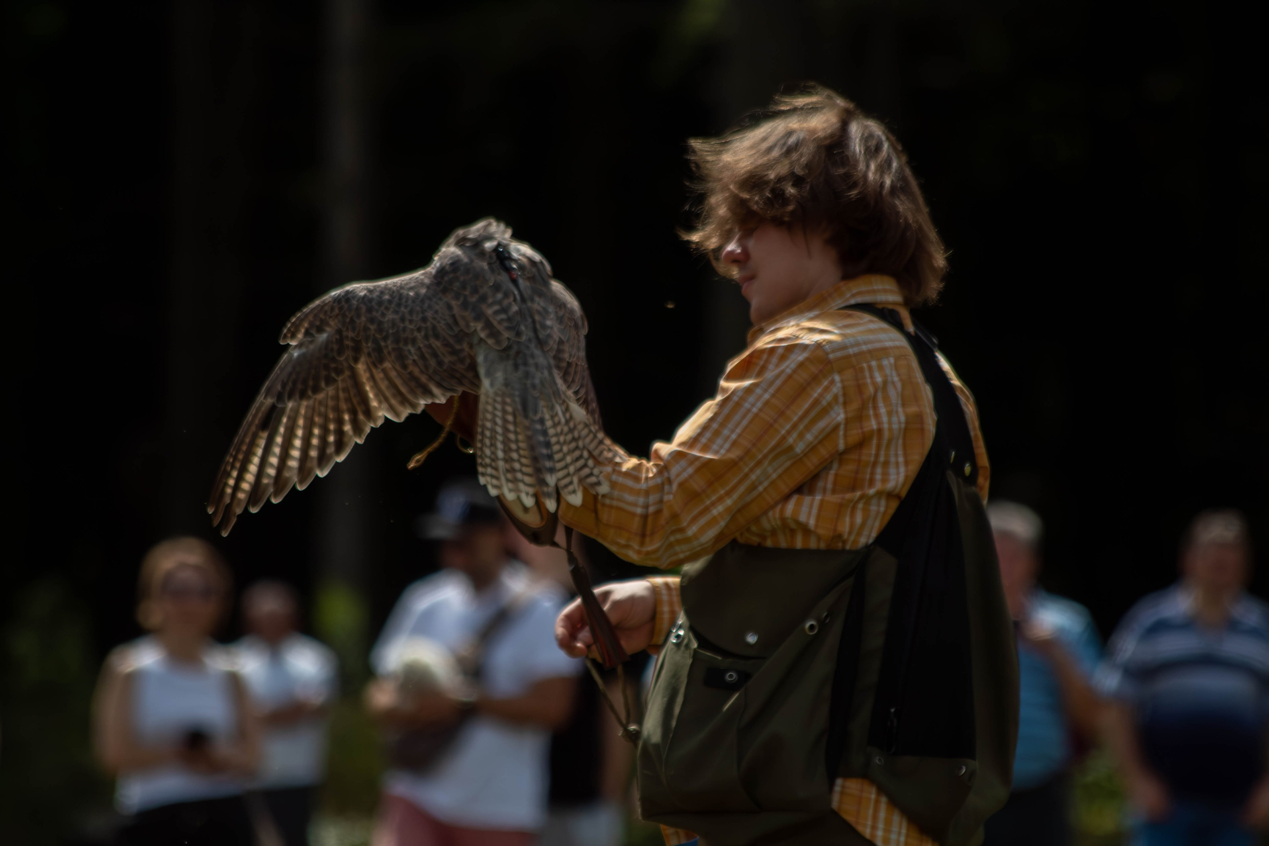 Охота как искусство Ясная поляна. Фотограф анималист — Тула, Москва
