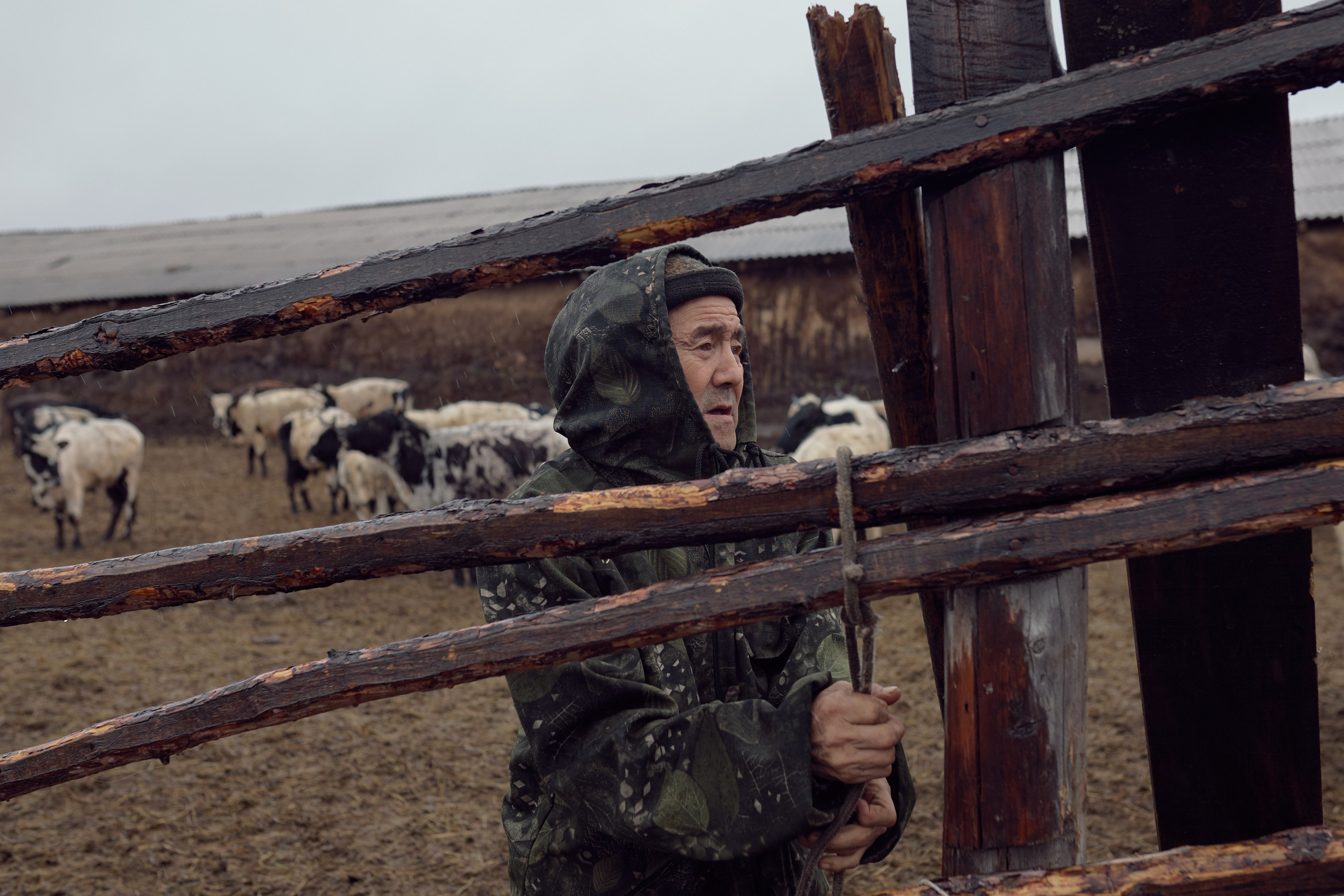 Kylys. Slava Lyu-fa