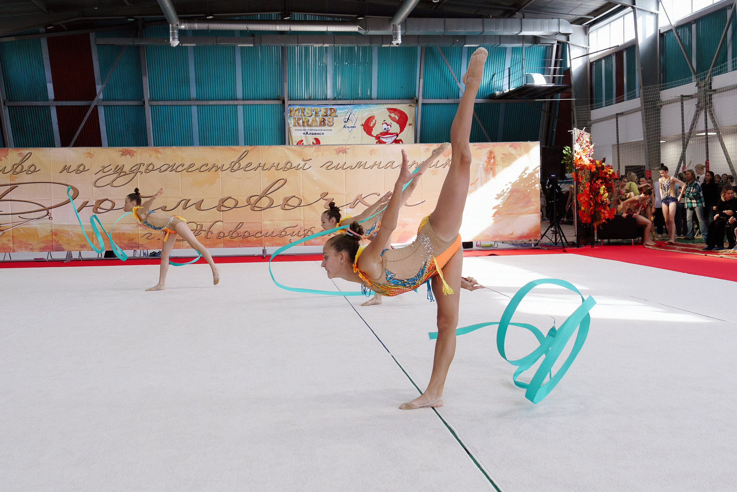 XII городские соревнования по художественной гимнастике «ДЮЙМОВОЧКА». Фотомастерская Воробьевых