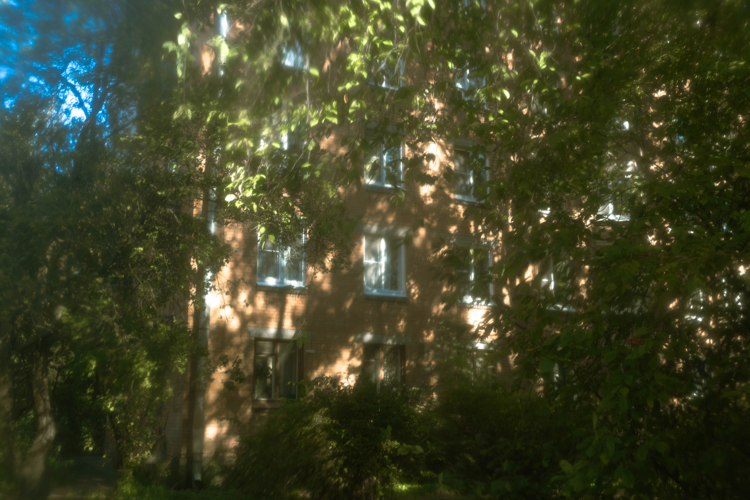 Кажется, это было вчера. Эля Сеидова, фотохудожник