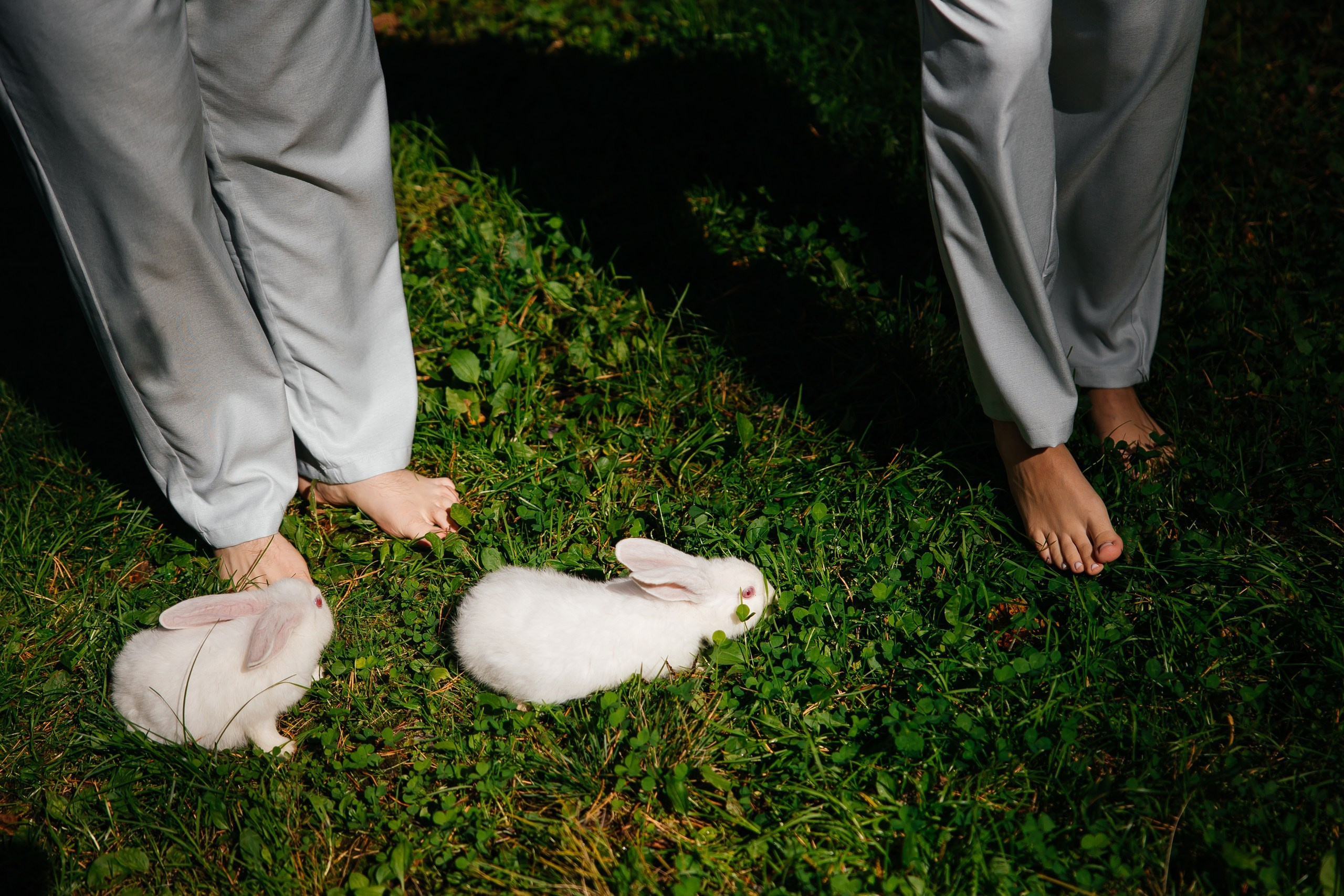 Егор и Юля. Организатор мероприятий в Абакане I Ольга Петухова