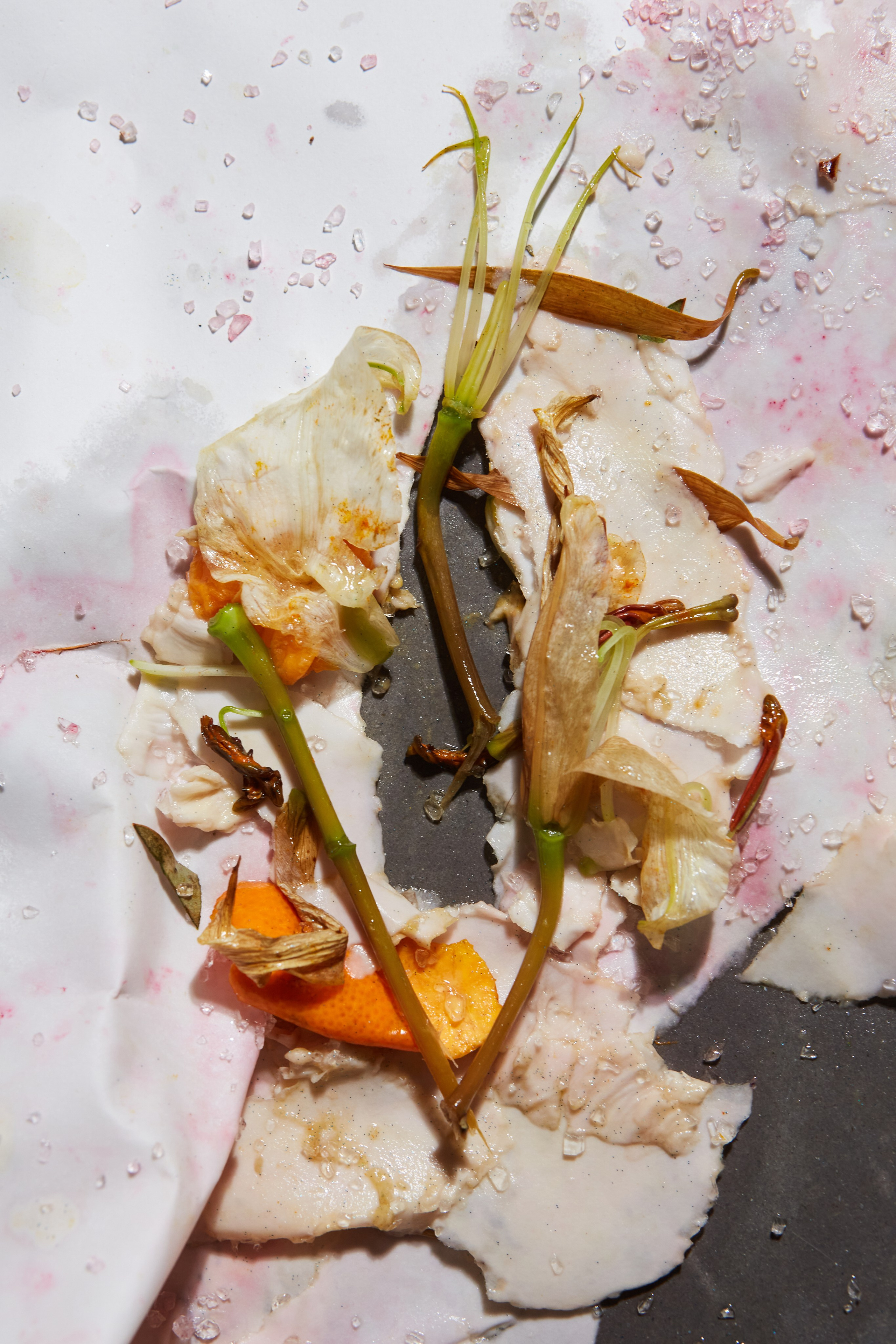 HEYDAY. Daria Blinova