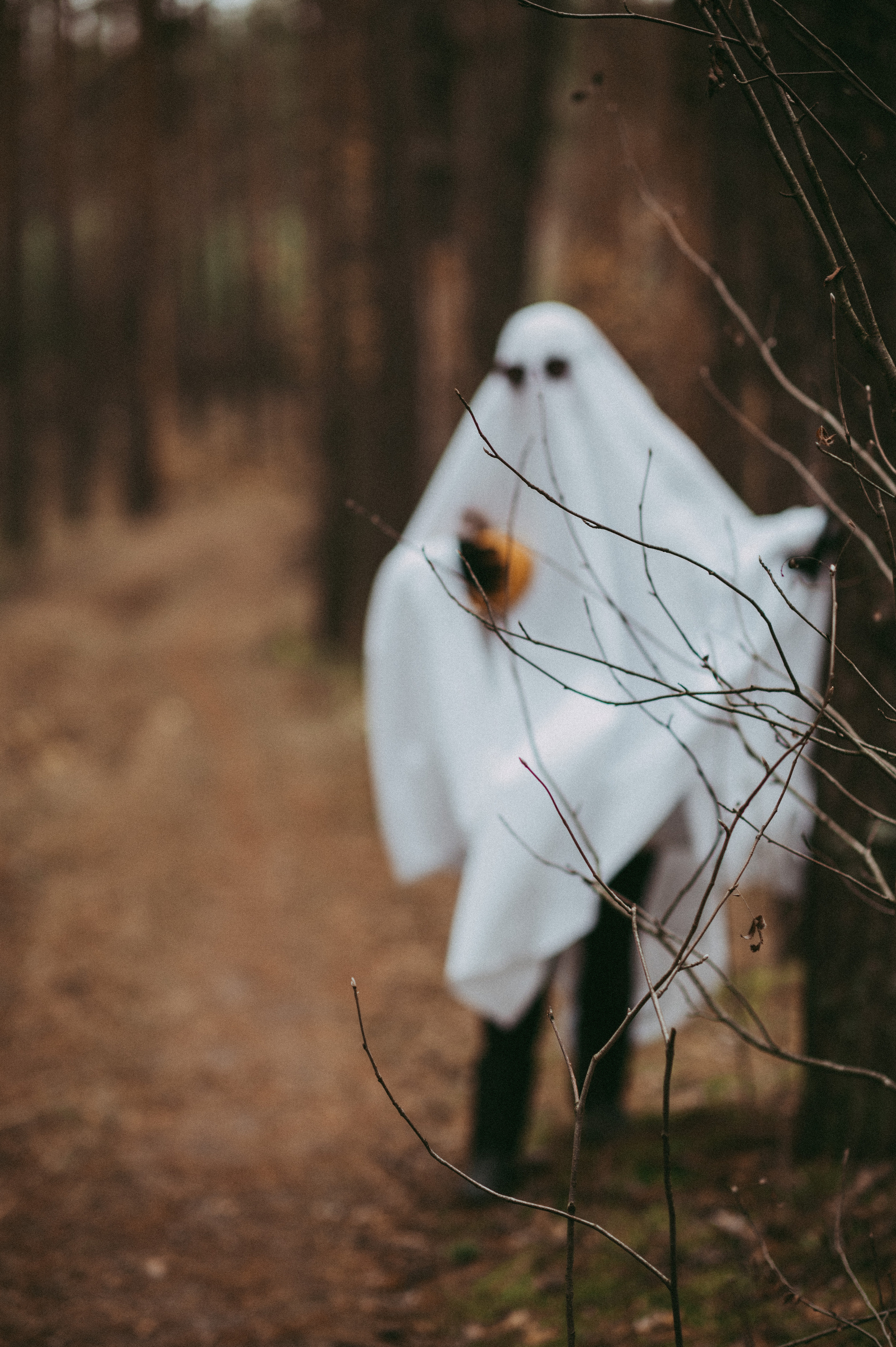 Настроение Helloween. Фотограф Нижний Новгород Екатерина Кукленкова