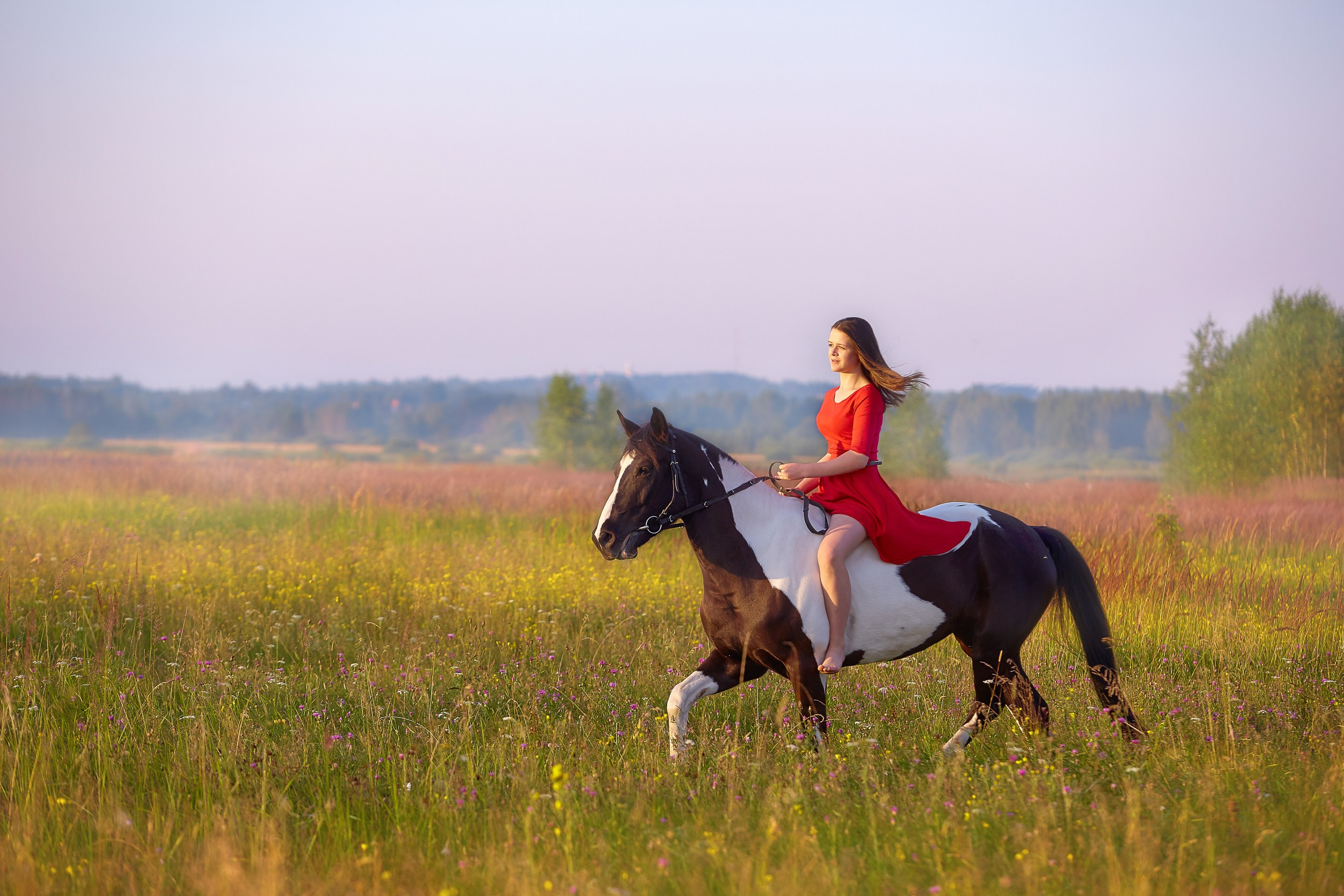 Фотосессия с лошадьми Фотограф Михаил Семенов, г. Ярославль