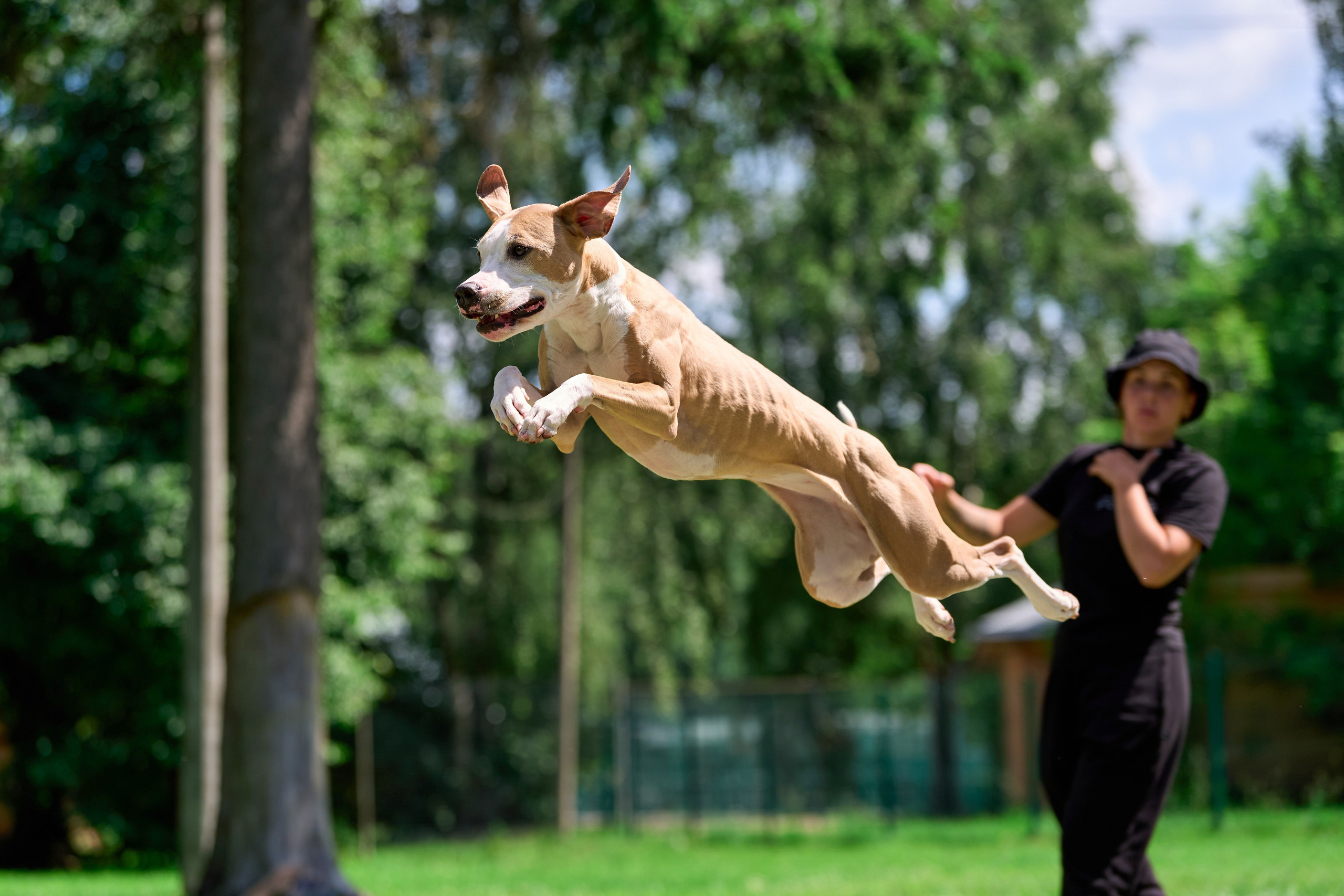 Двухдневные соревнования «Jump'n'Gym Fest — 2024». Фотограф-анималист Михаил Манухин