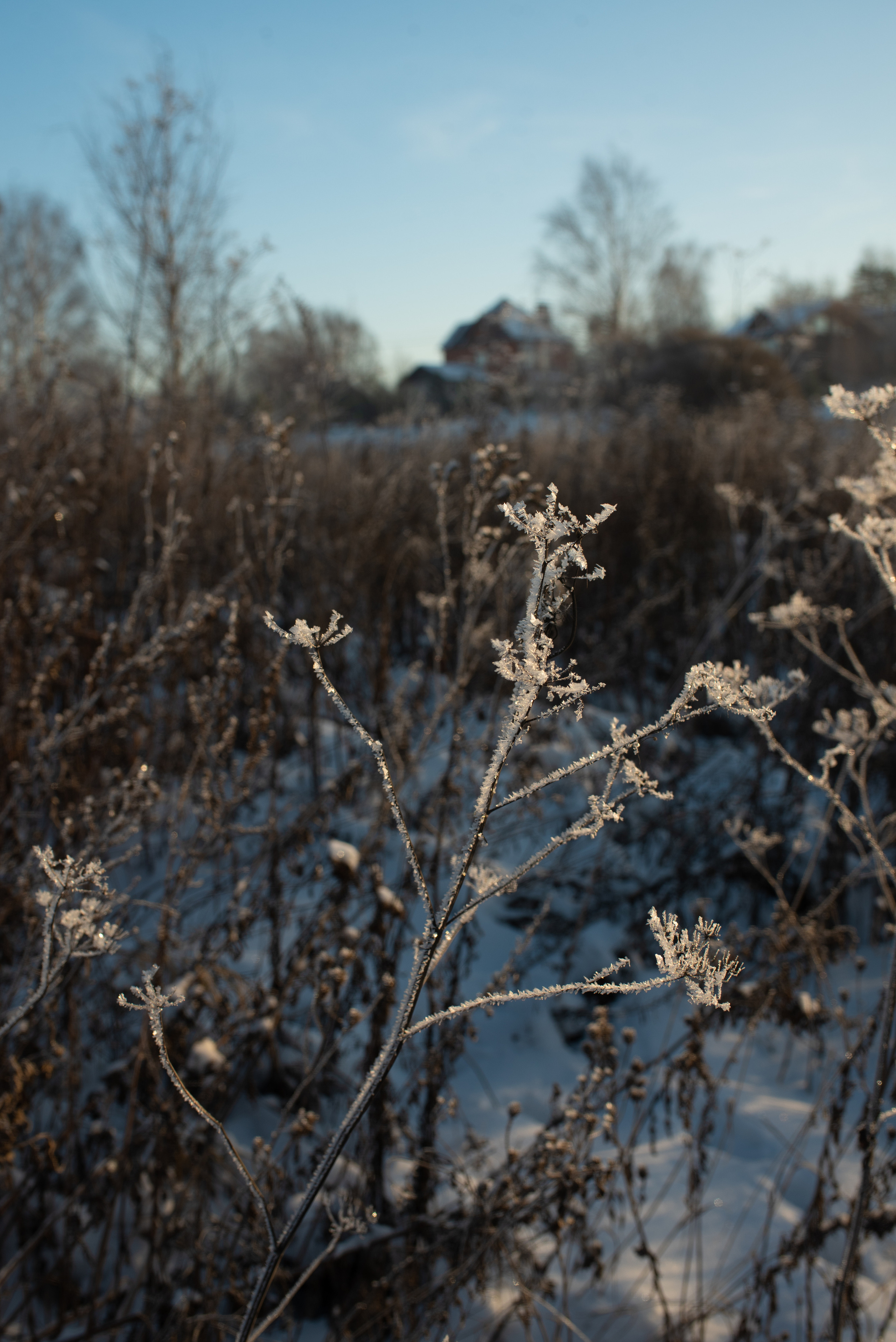 Зимние пейзажи. Анна Боровикова, фотограф Пушкино