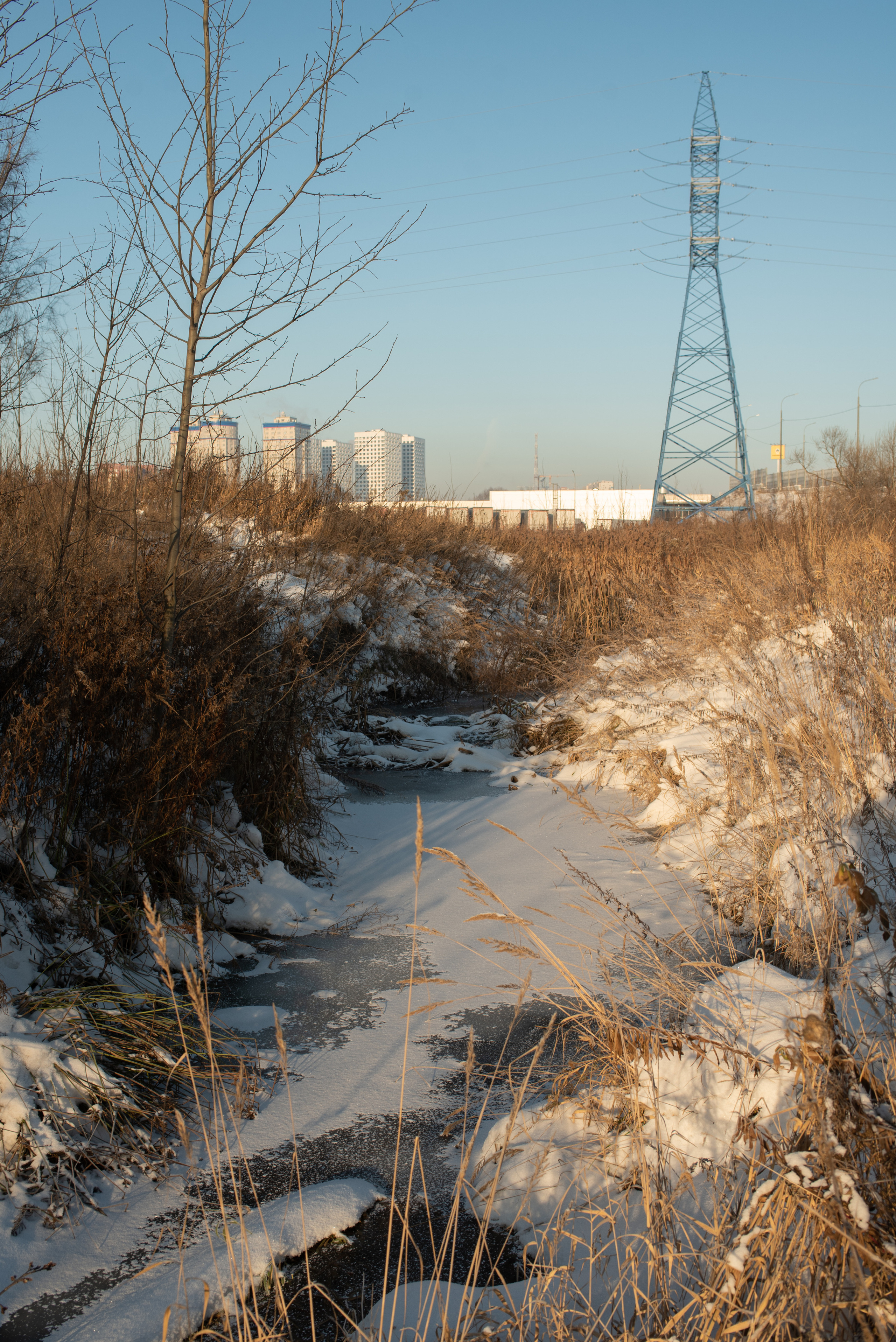 Зимние пейзажи. Анна Боровикова, фотограф Пушкино
