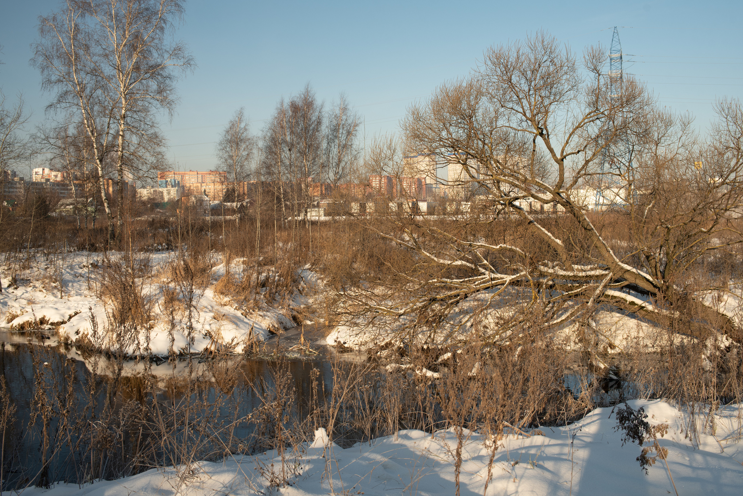 Зимние пейзажи. Анна Боровикова, фотограф Пушкино