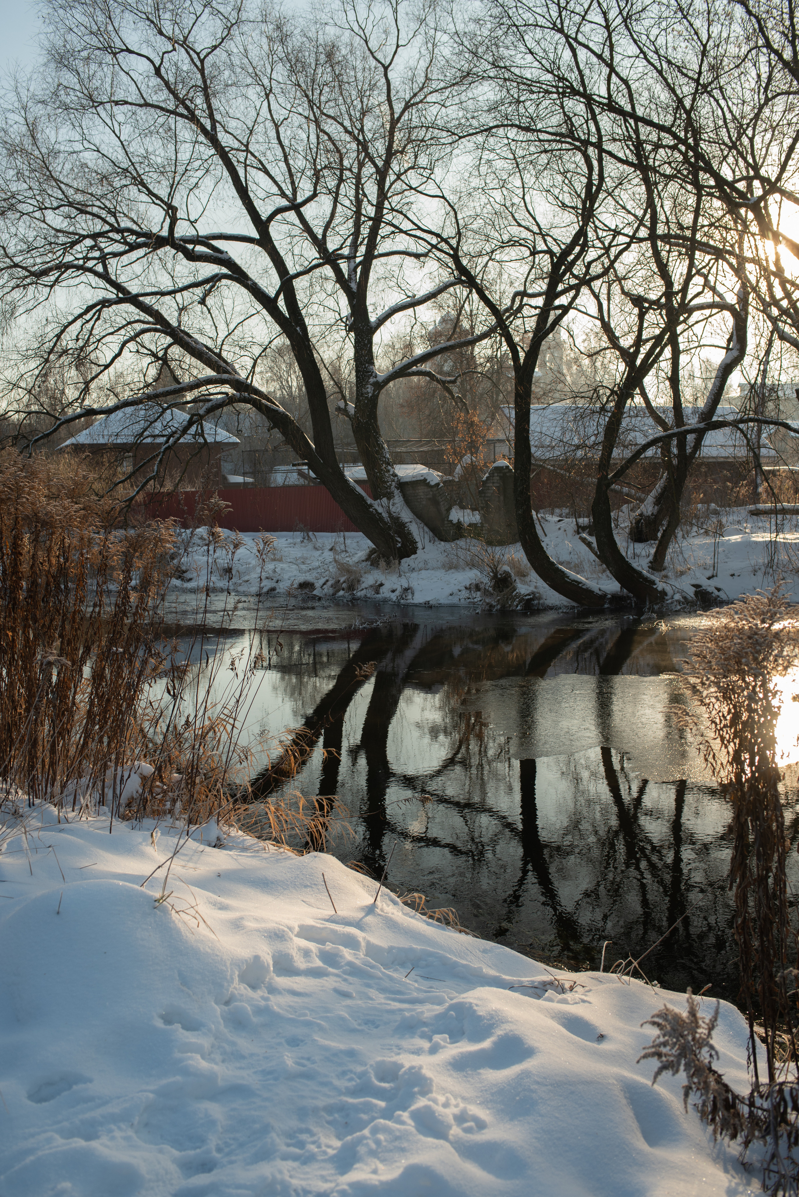 Зимние пейзажи. Анна Боровикова, фотограф Пушкино