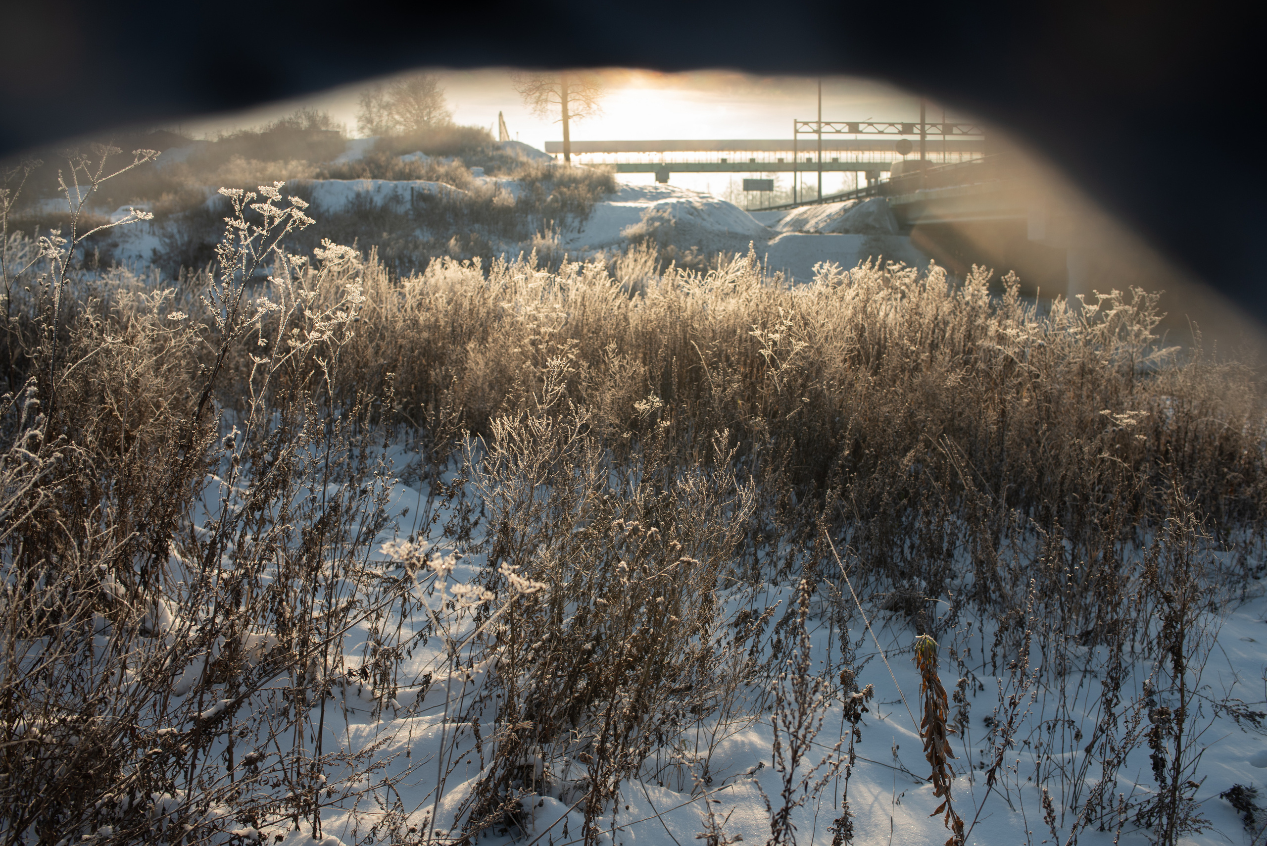 Зимние пейзажи. Анна Боровикова, фотограф Пушкино