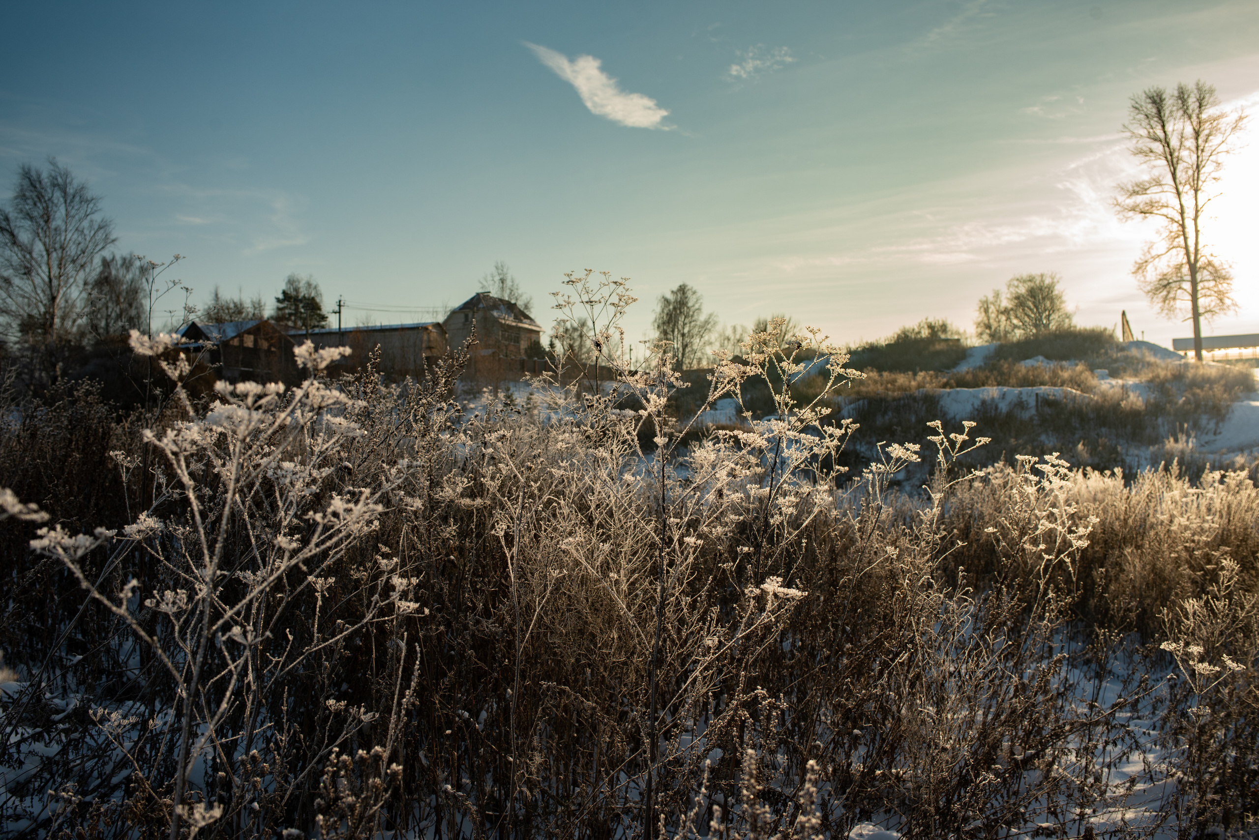 Зимние пейзажи. Анна Боровикова, фотограф Пушкино