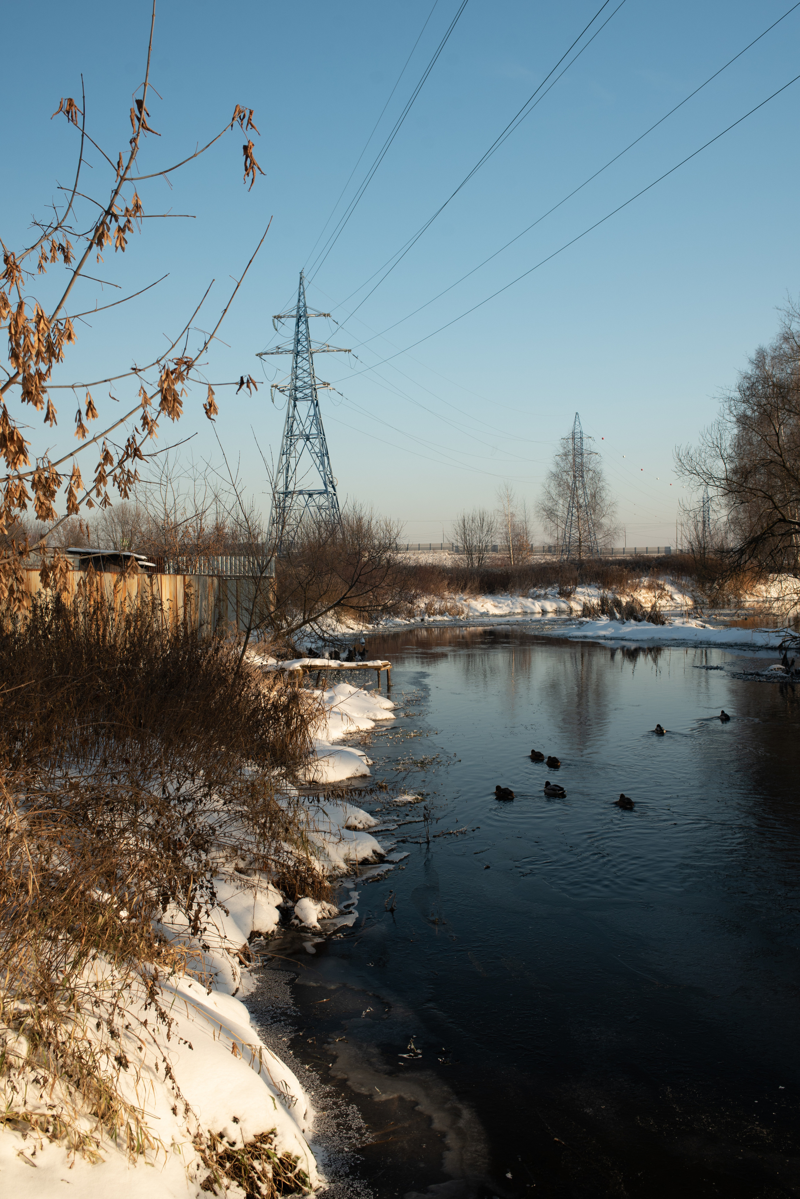 Зимние пейзажи. Анна Боровикова, фотограф Пушкино