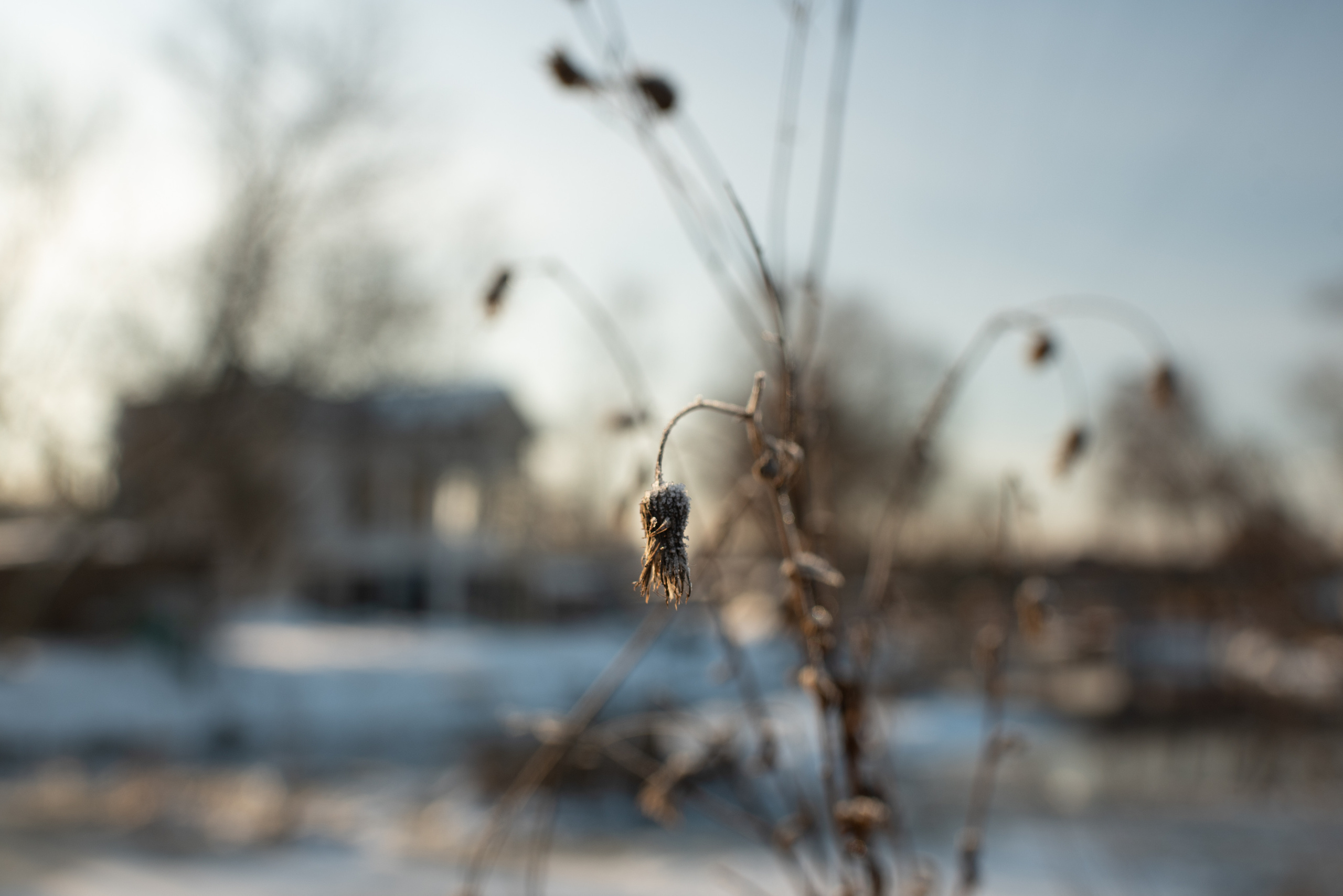 Зимние пейзажи. Анна Боровикова, фотограф Пушкино