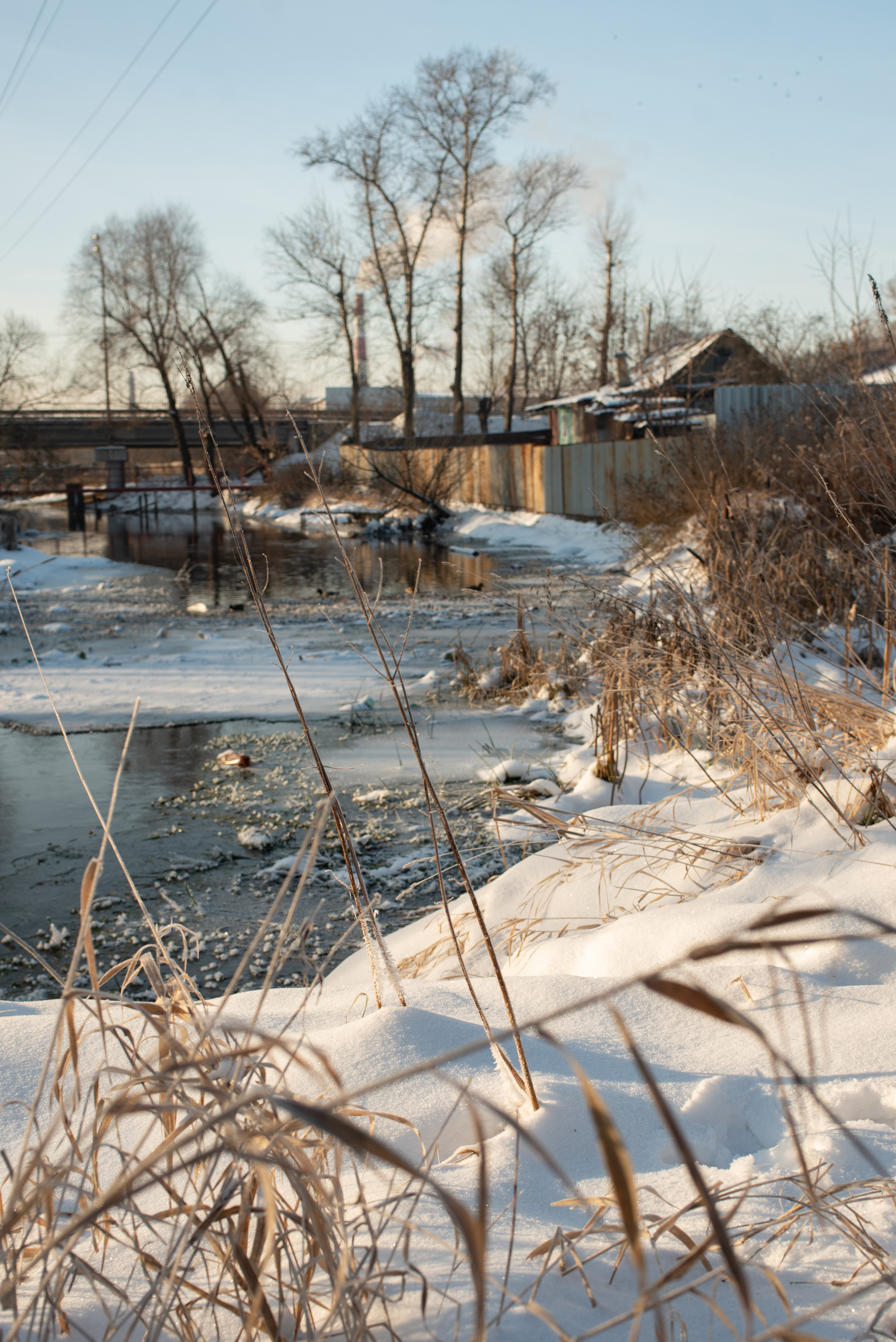 Зимние пейзажи. Анна Боровикова, фотограф Пушкино