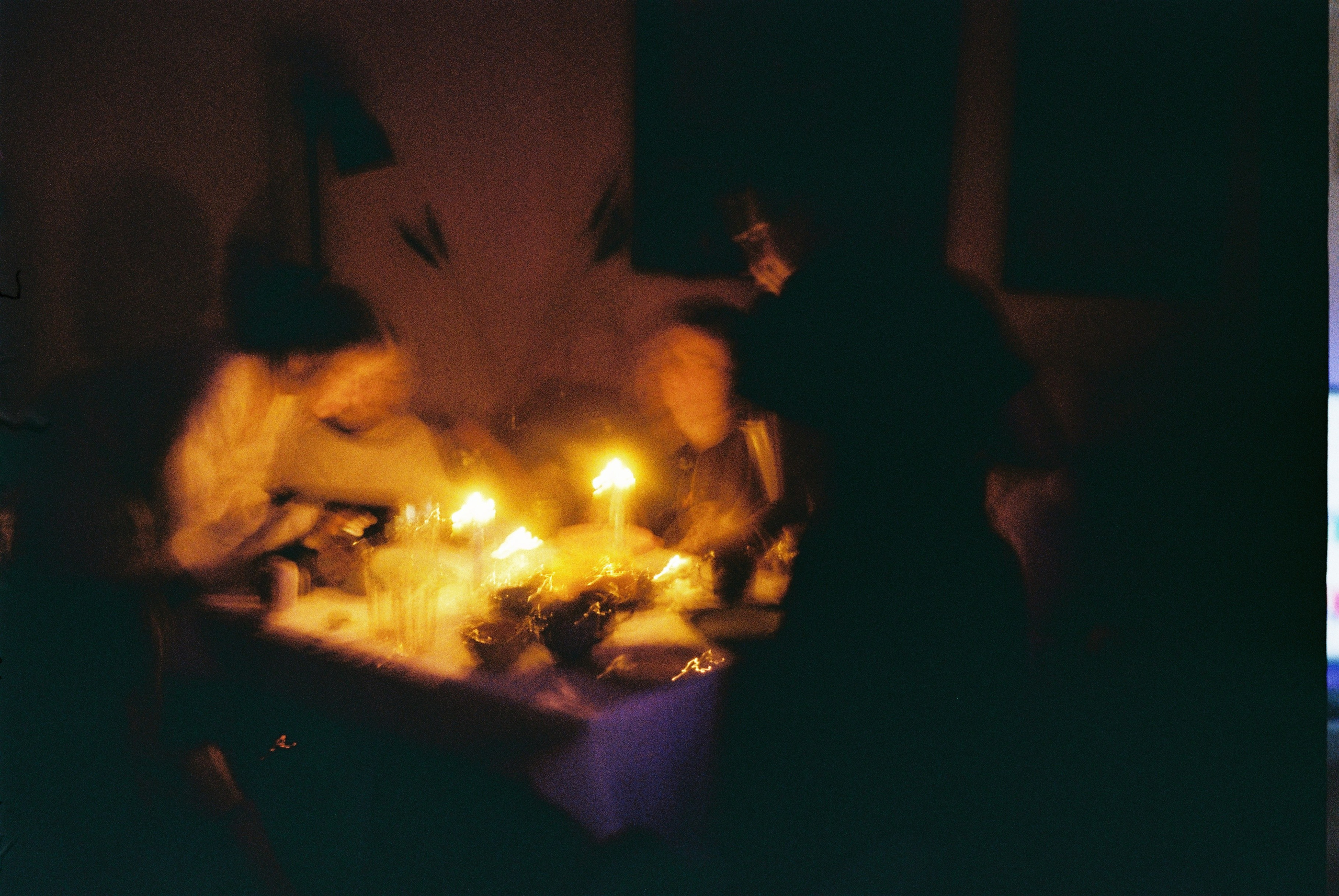 Программа курса. ARTDARY | Фотограф Дарья Грицай