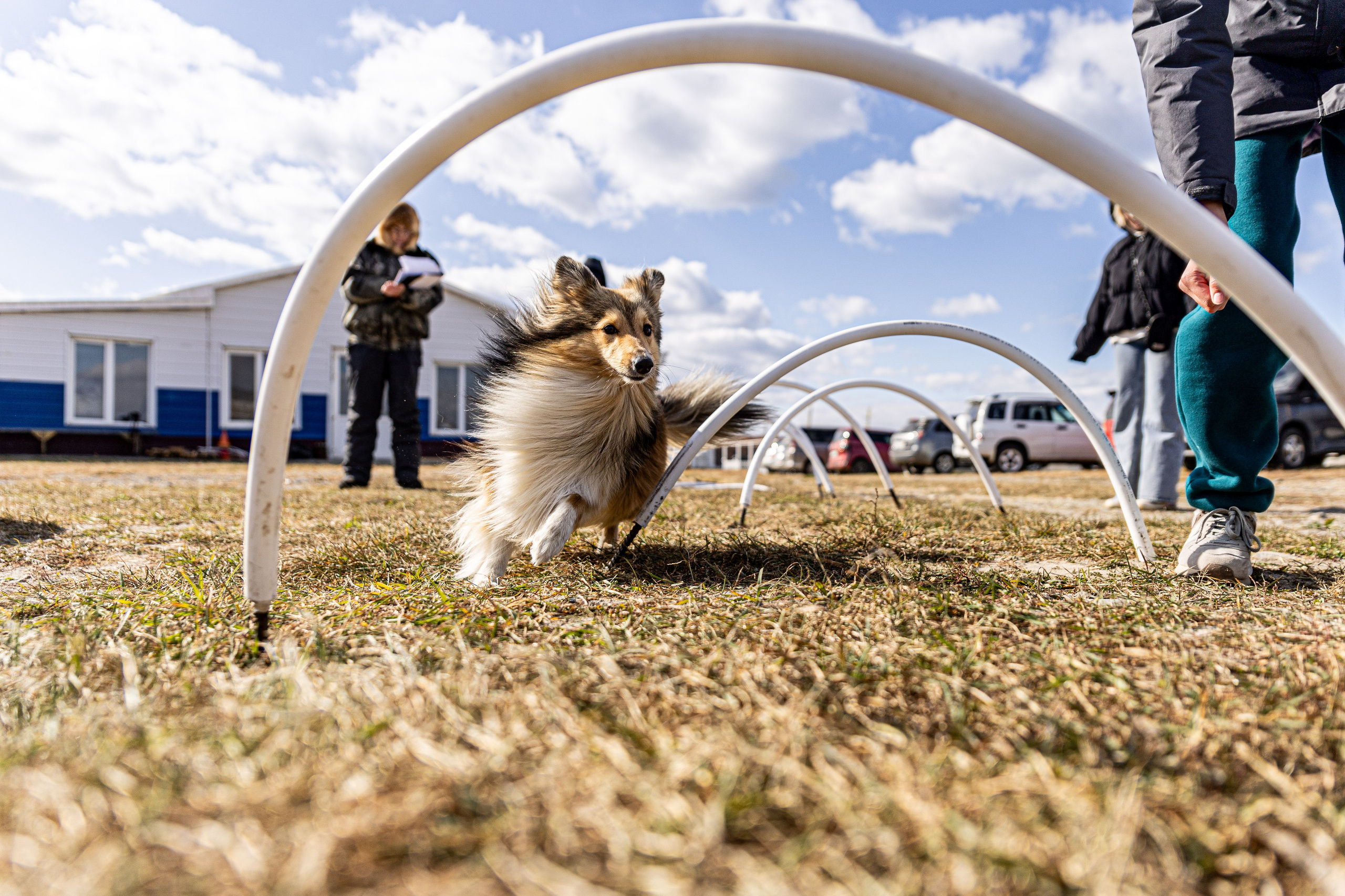 Репортажная фотосъёмка