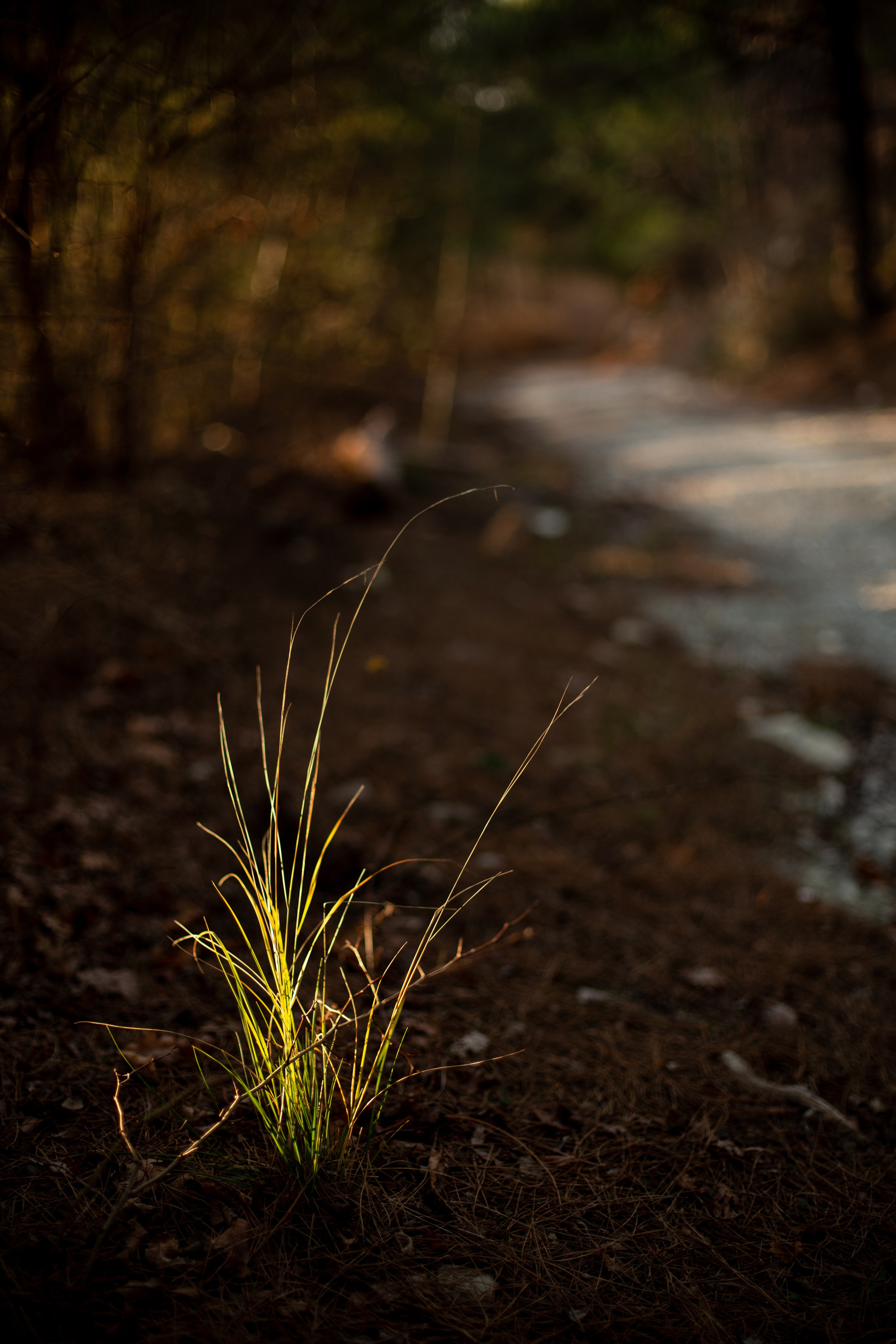 Дороги земли ветров. Портретный фотограф в Москве и Геленджике Кирилл Вахитов