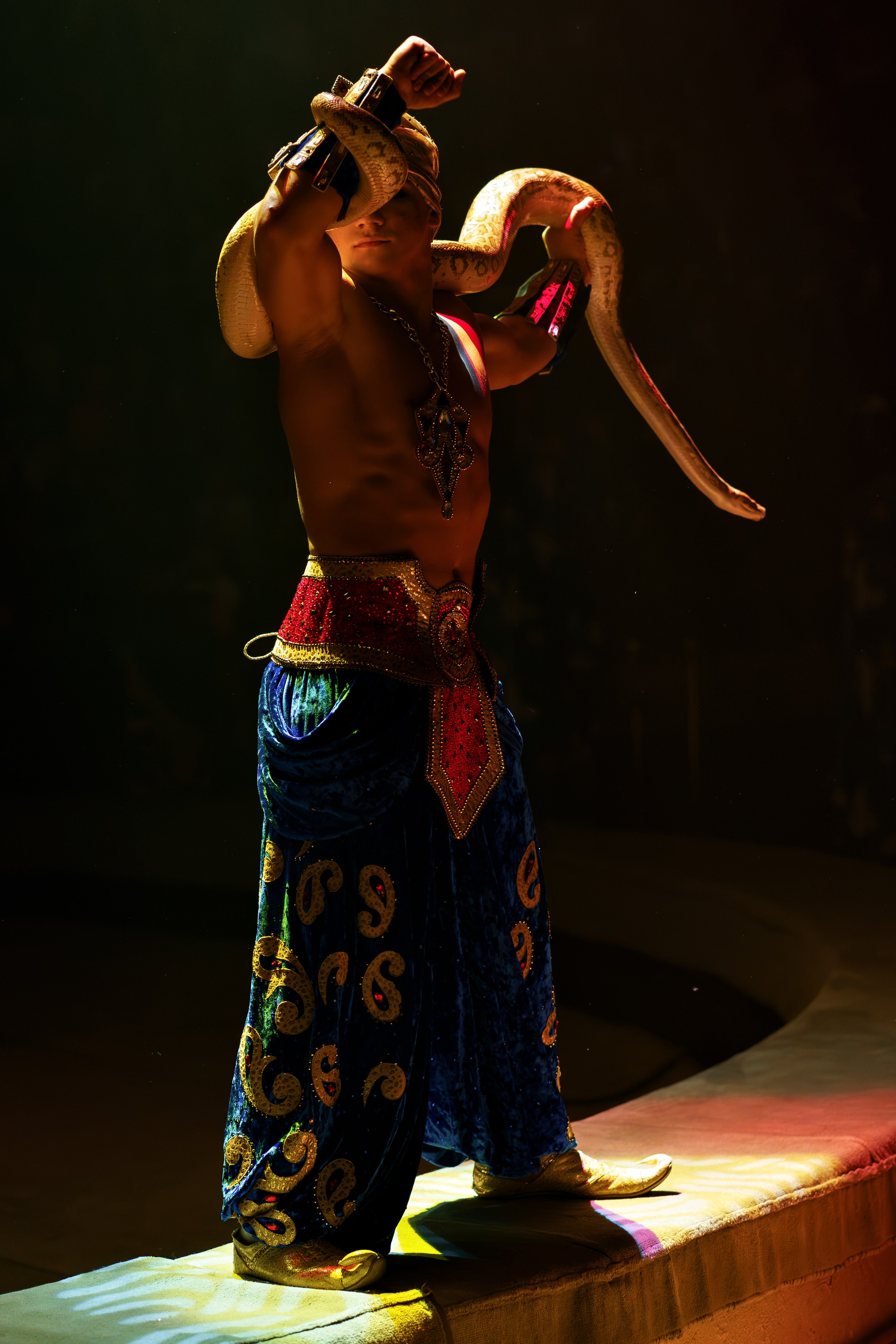 «Королевский цирк Гии Эрадзе»