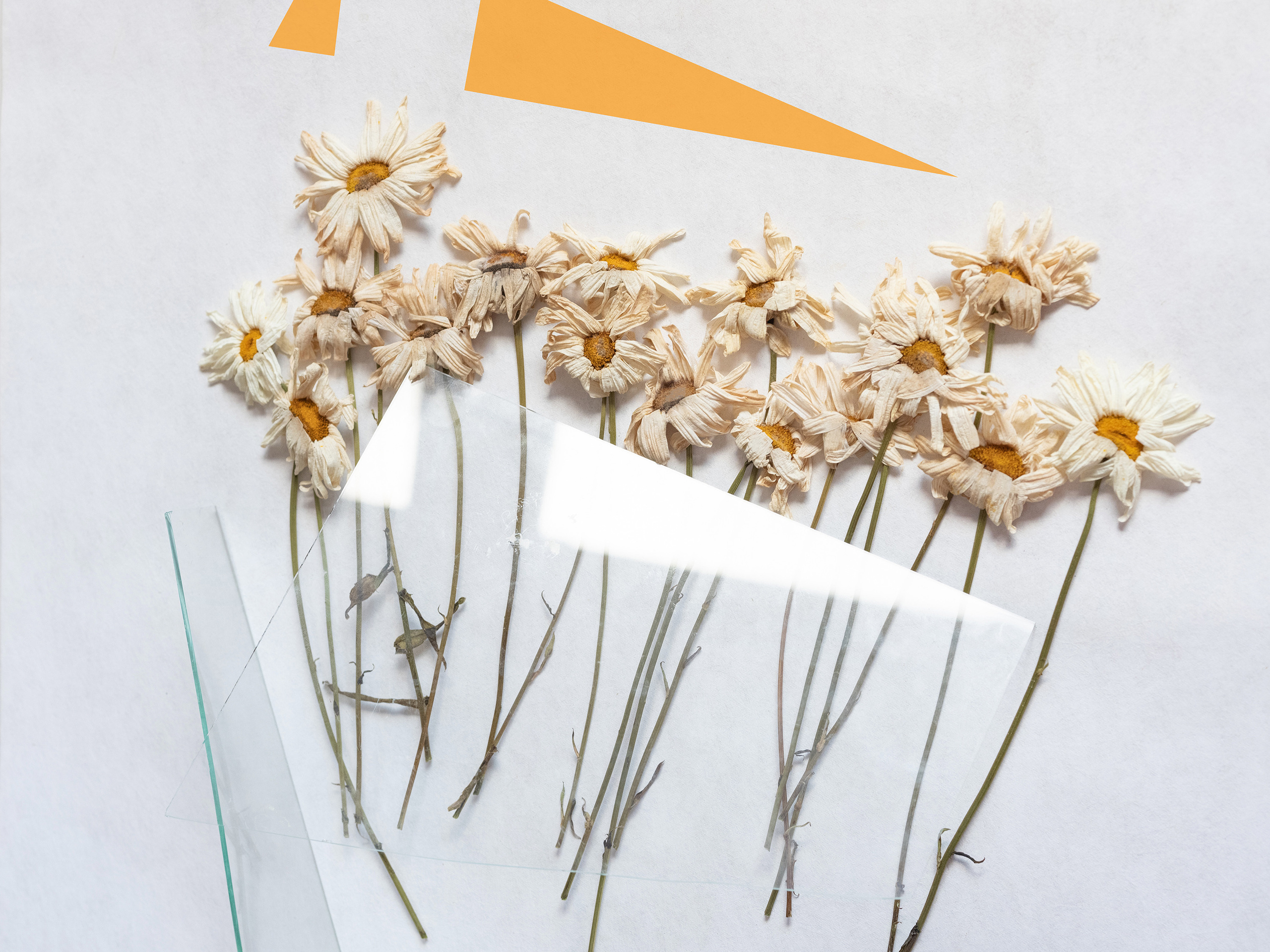 Рецепт #6: Chamomile, треугольники, RGB цвет #ff9300