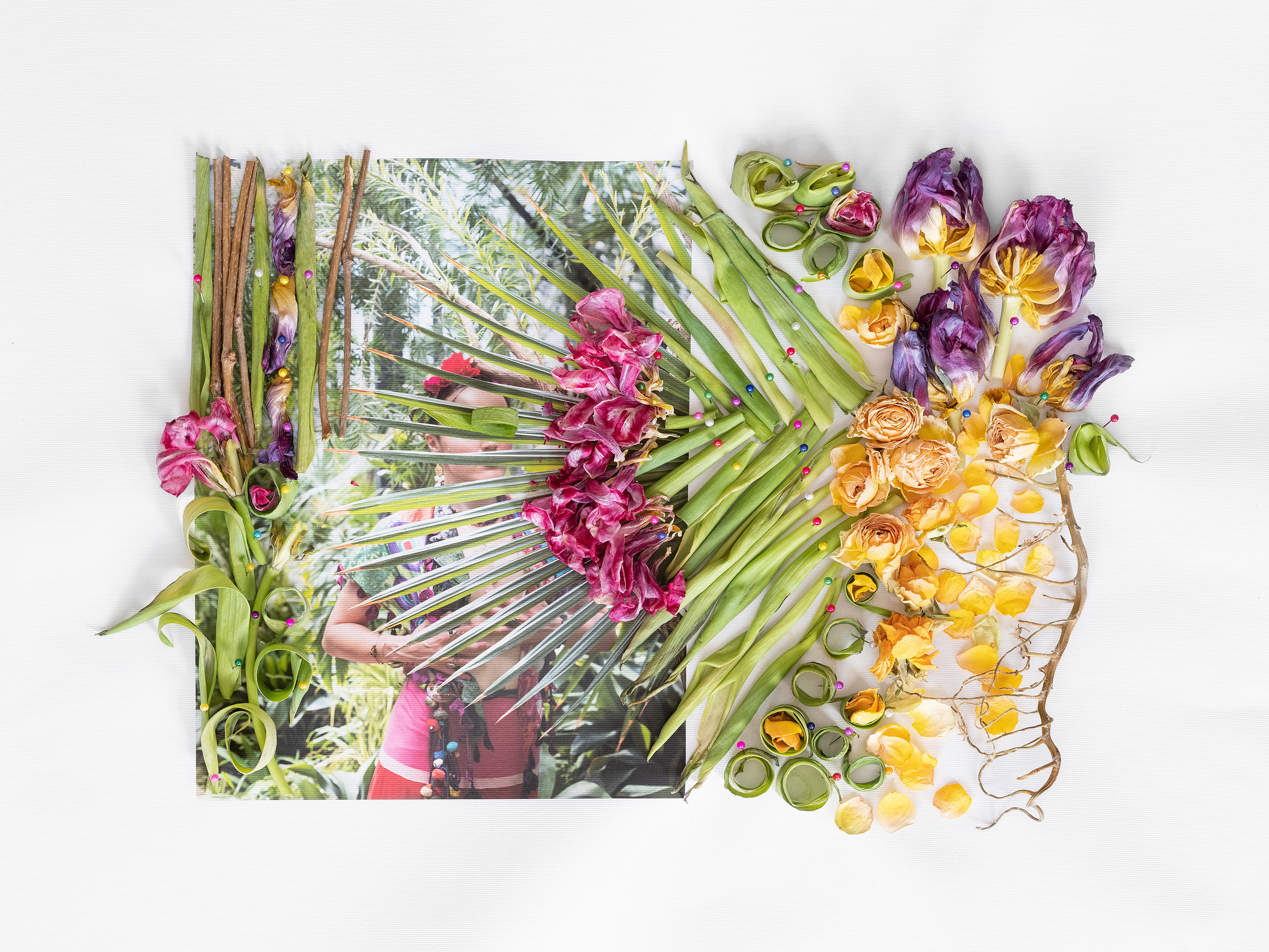 арт фотография, современный фотопроект, contemporary art, contemporary artist, flowers, botanic, botanical theme