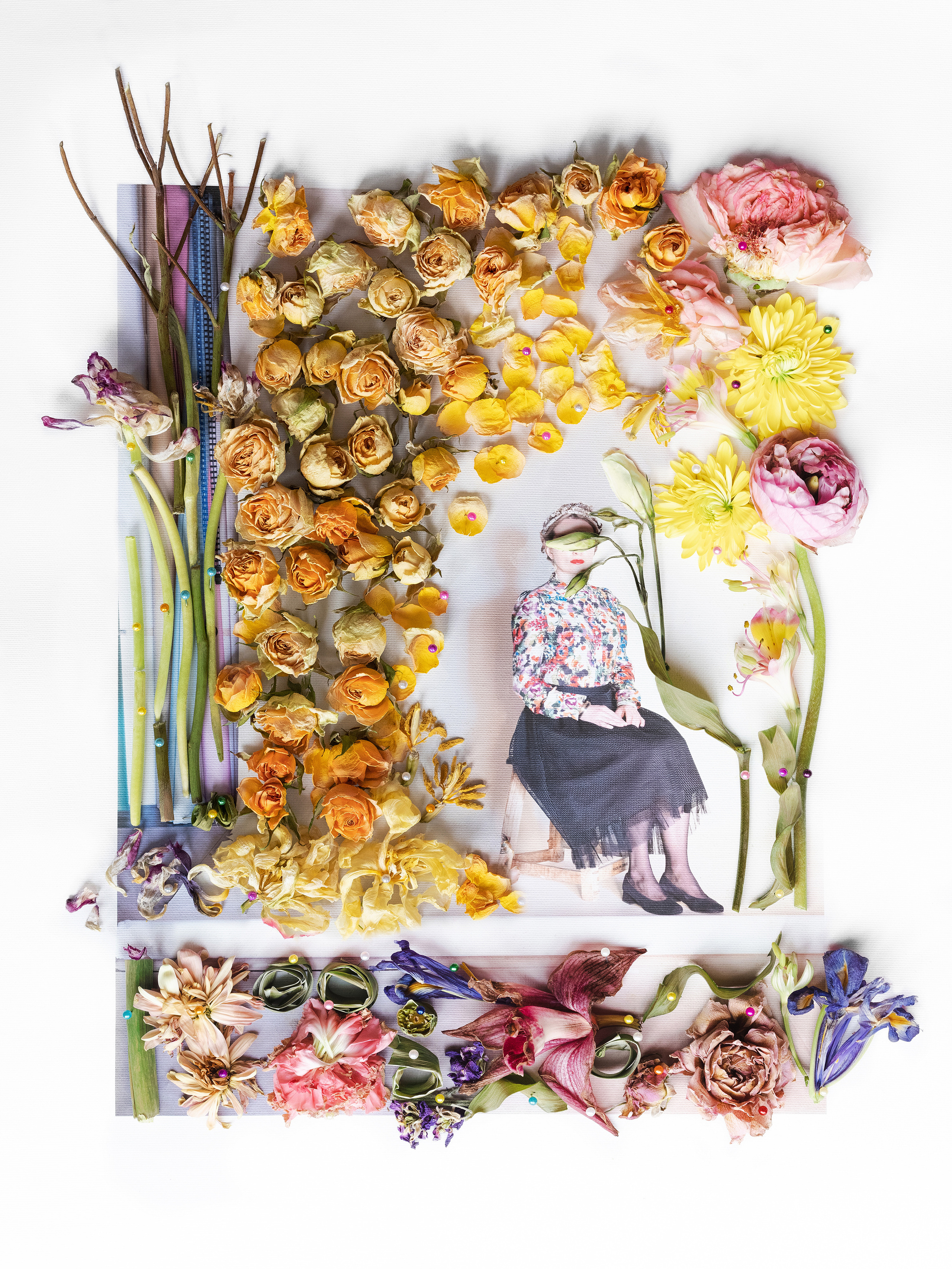 frida cahlo, frida, frida kahlo, mexico