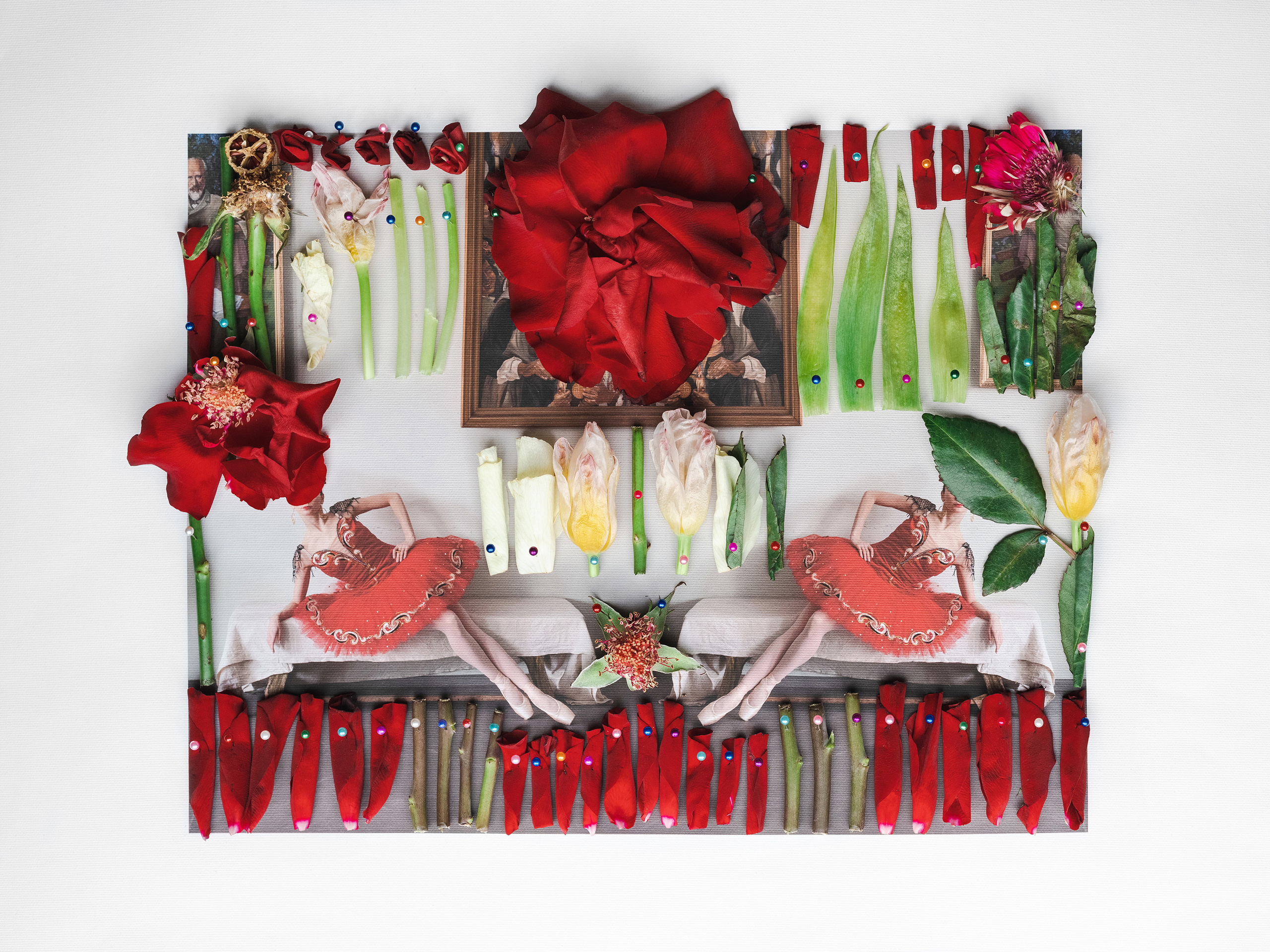 балерина, фотография балета, фрида кало балет