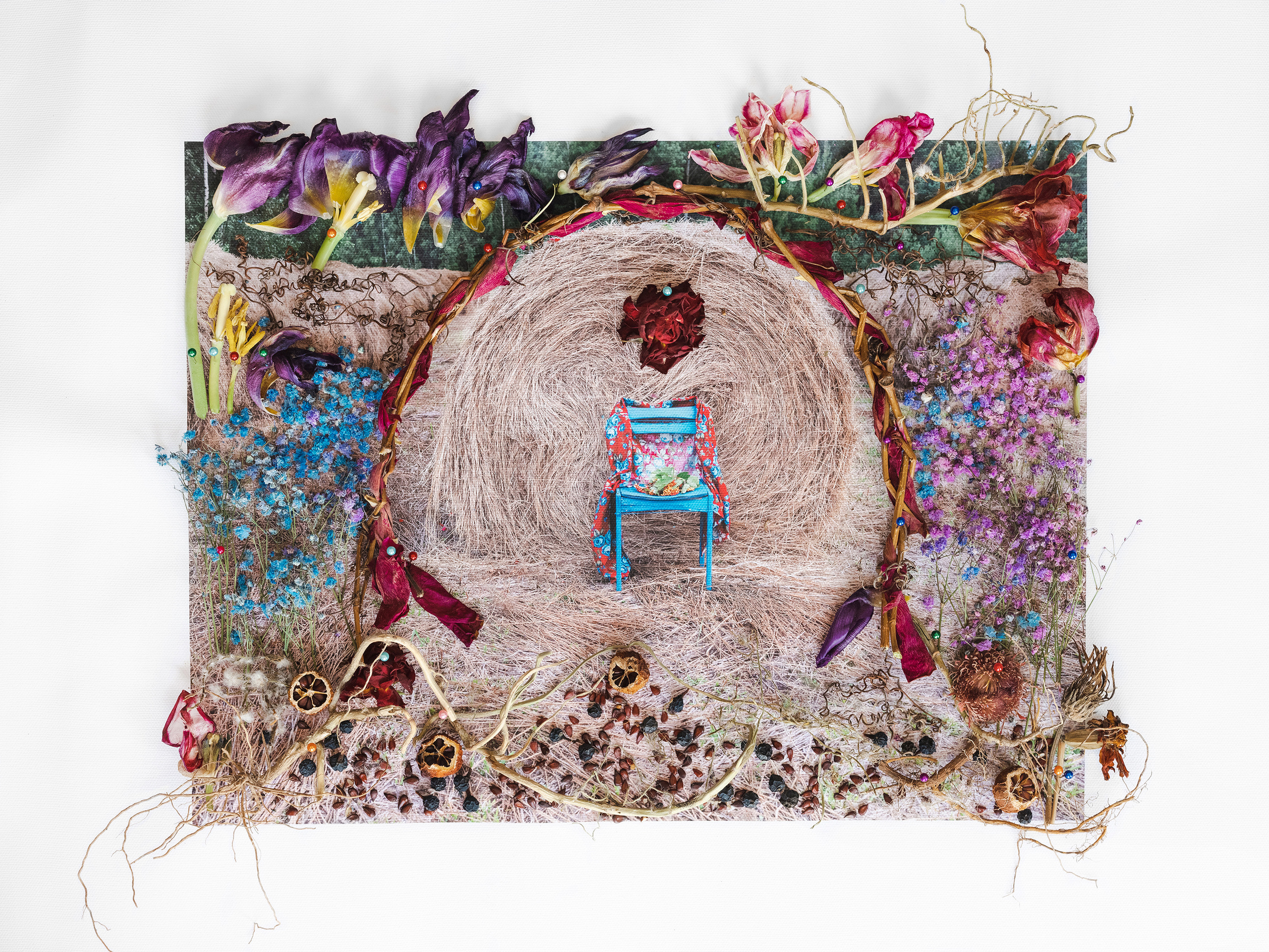 жизнь фриды, дом фриды кало, где жила фрида кало