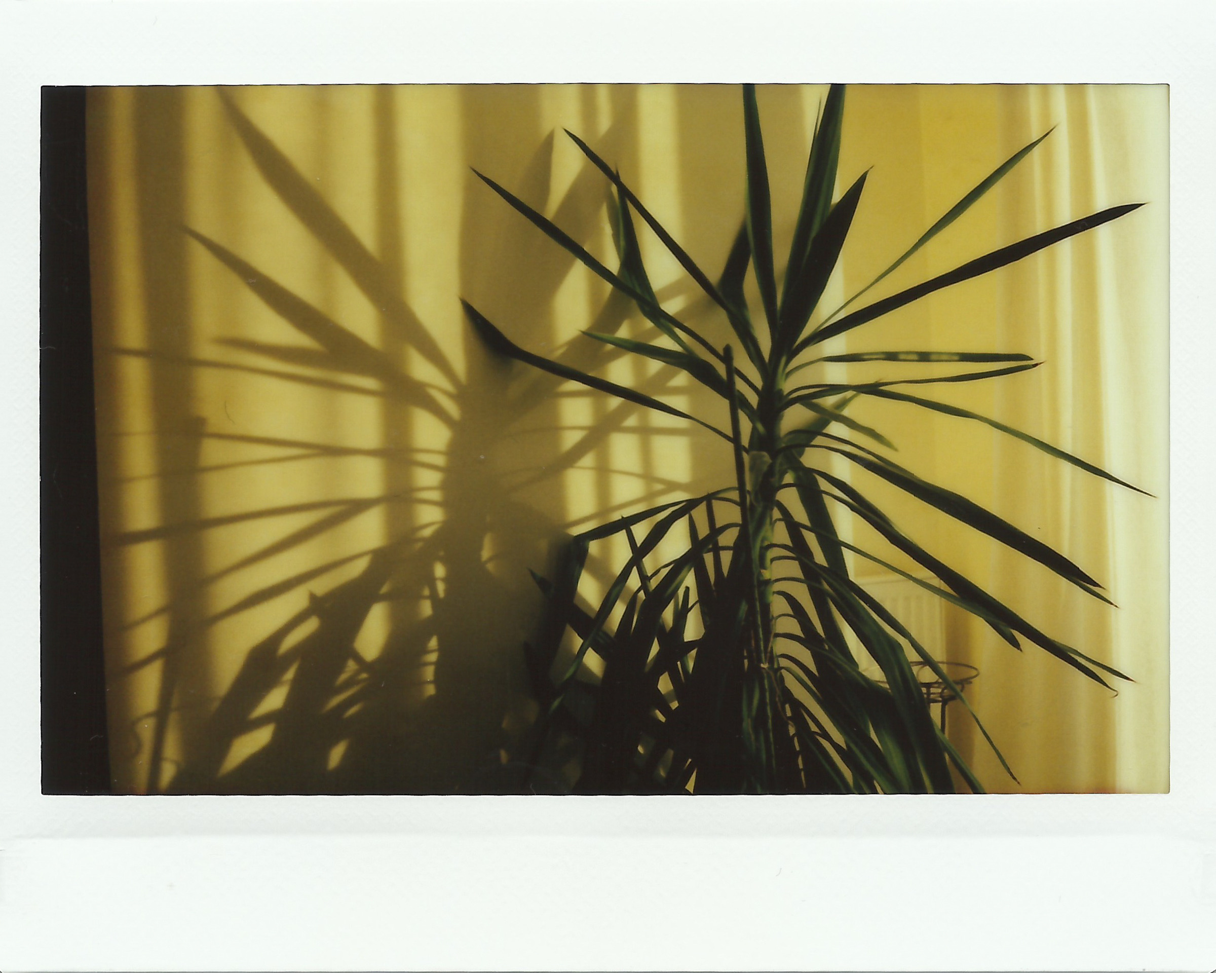 Overdose. Photographer, Documentary and Art