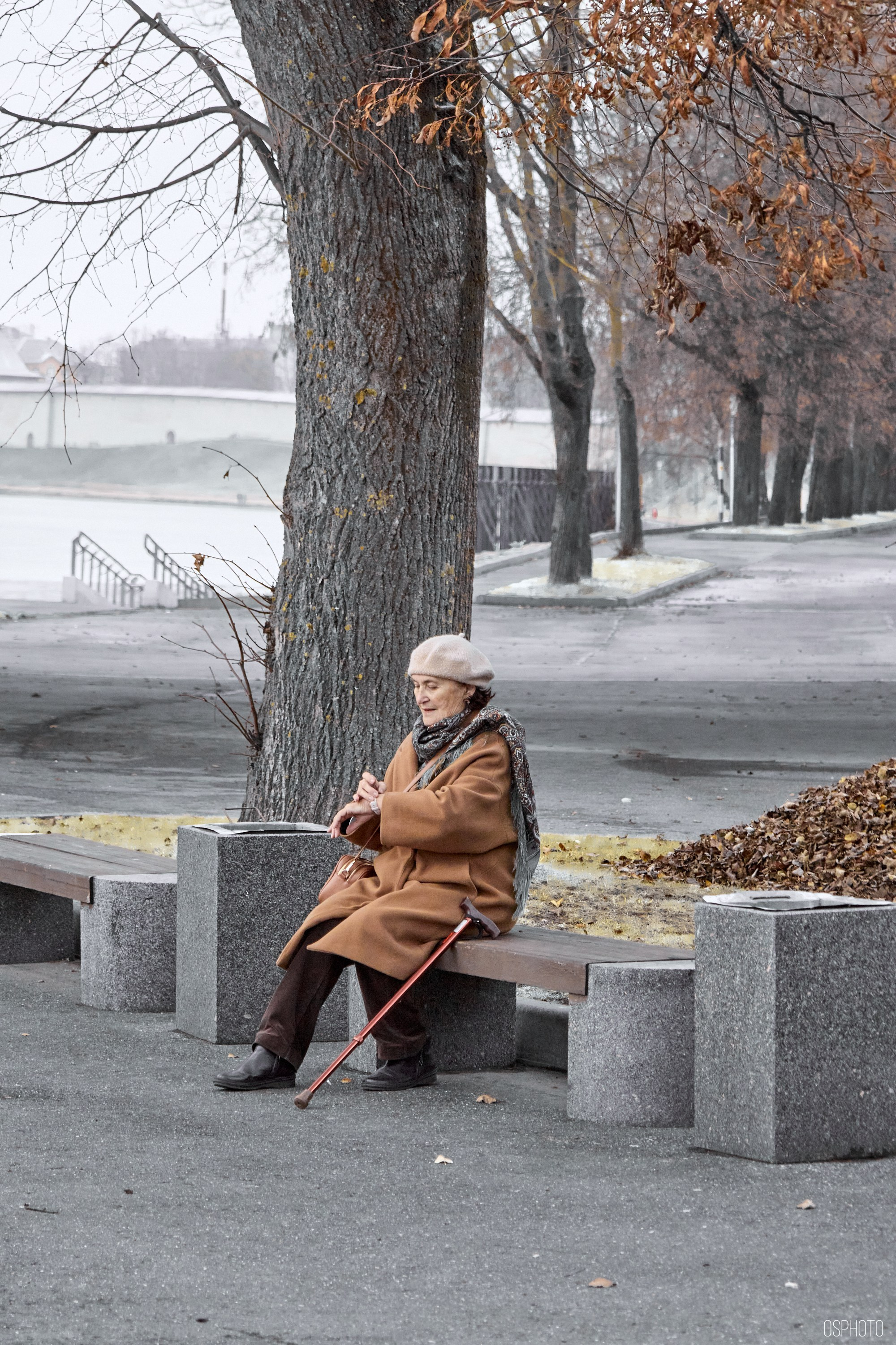 Псков. Ноябрь. Фотографъ Сергѣевъ. Поймать мгновеніе