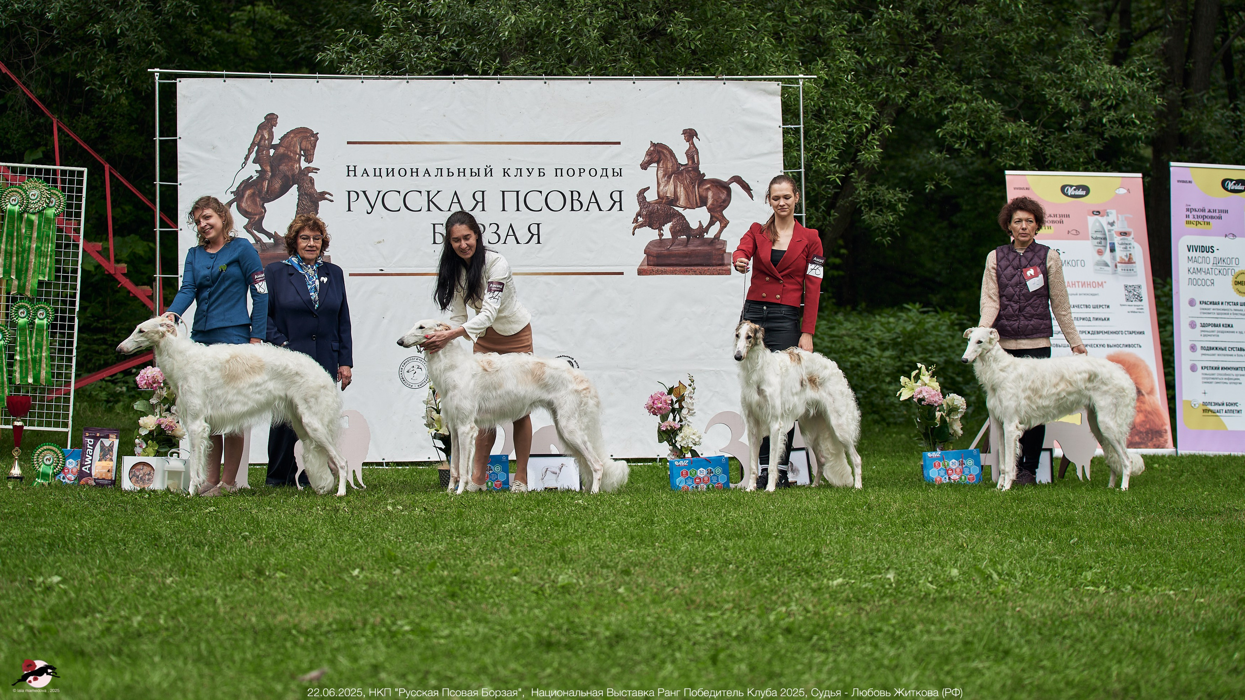 22.06.2025 | Национальная Выставка НКП "Русская Псовая Борзая"