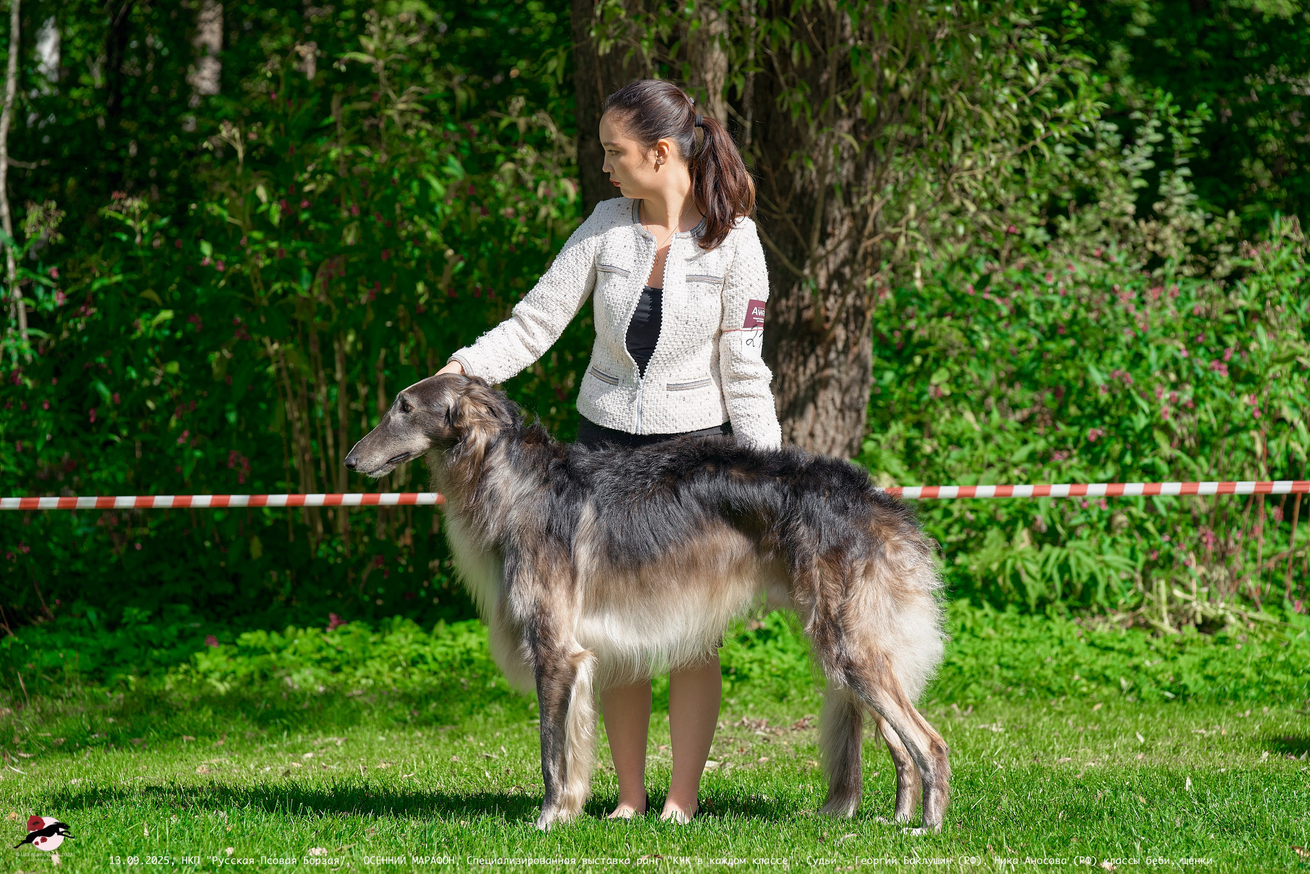 ОСЕННИЙ МАРАФОН | Специализированная выставка породы Русская Псовая Борзая ранг "КЧК в каждом классе"