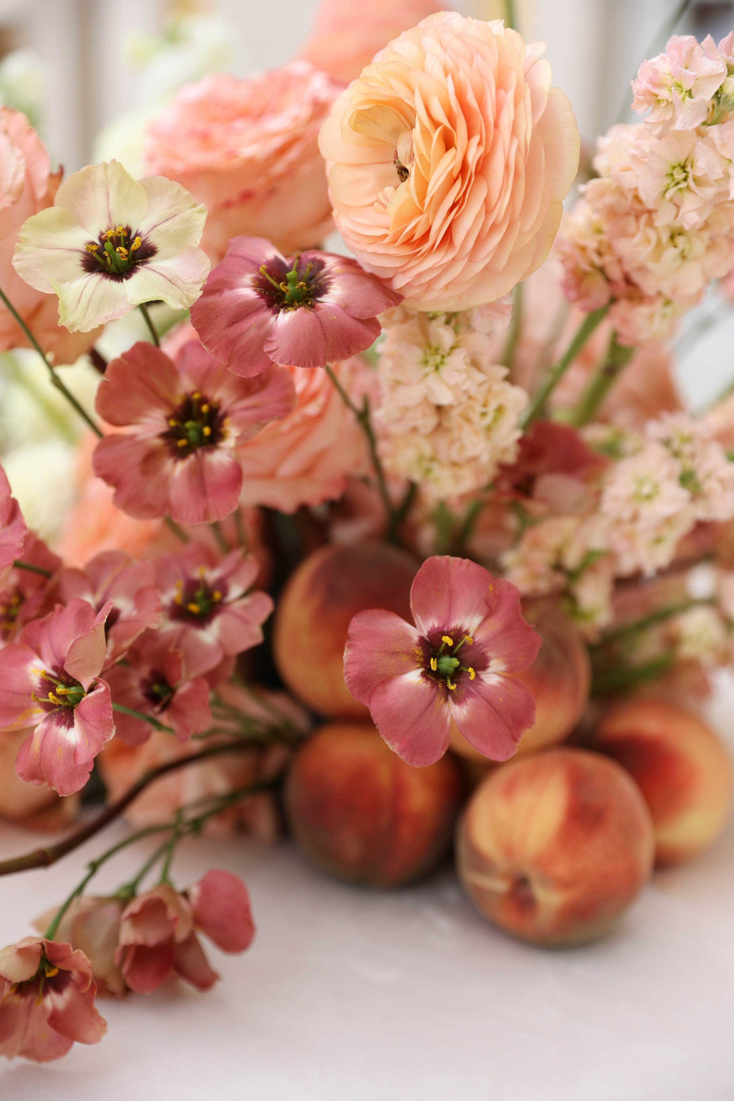 Свадебный, портретный, семейный фотограф. Севастополь, Ялта, Симферополь, Крым. Видеограф в Крыму на свадьбу