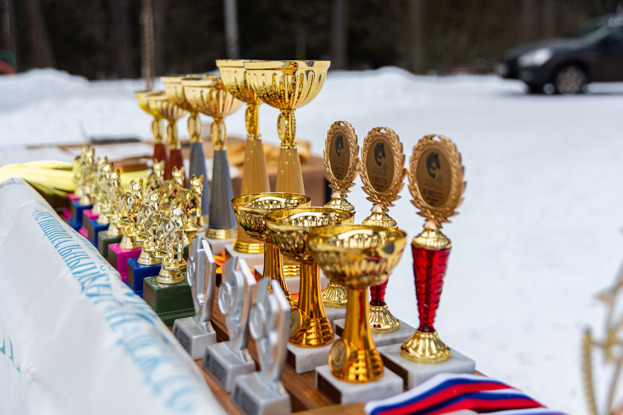 Фотосессии в кинологическом лагере. Фотограф Макс Огурцов в Нижнем Новгороде