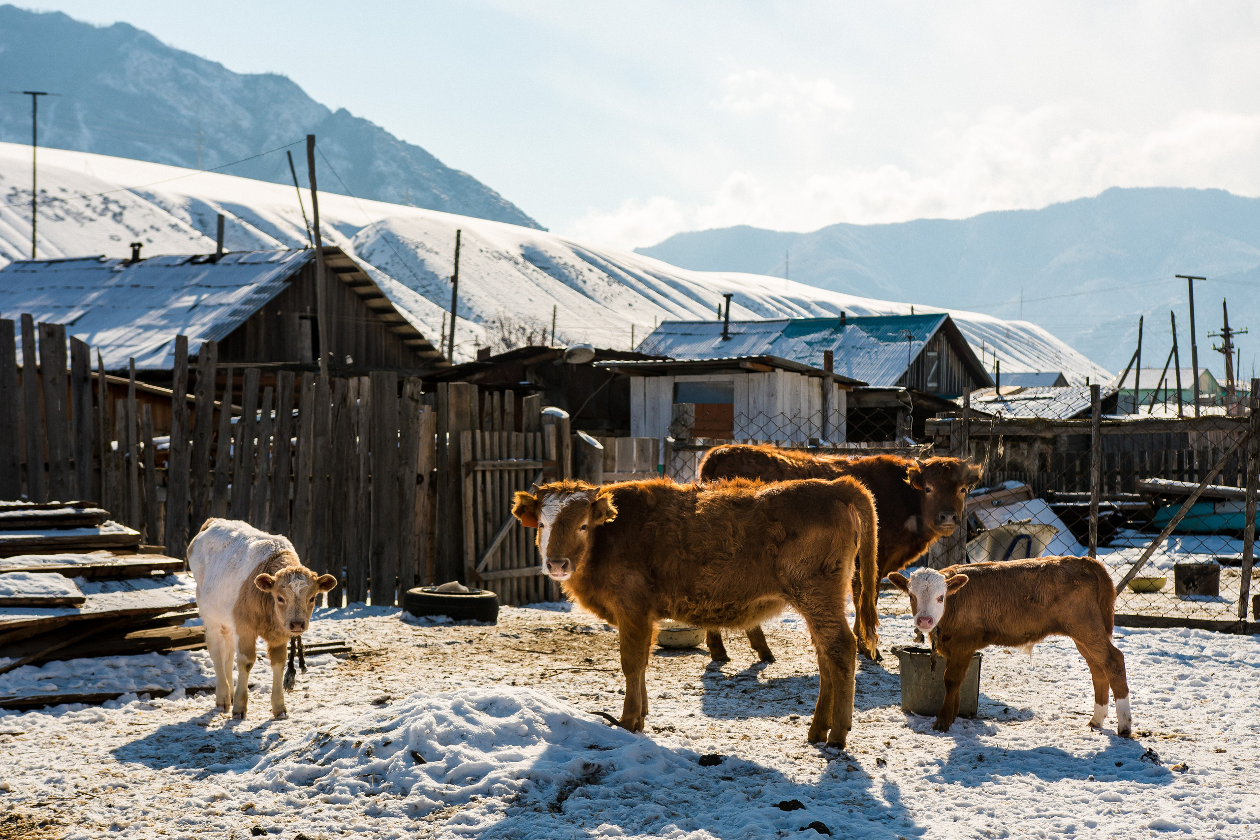 Творчество. Репортажный фотограф в Москве Измалков Артем