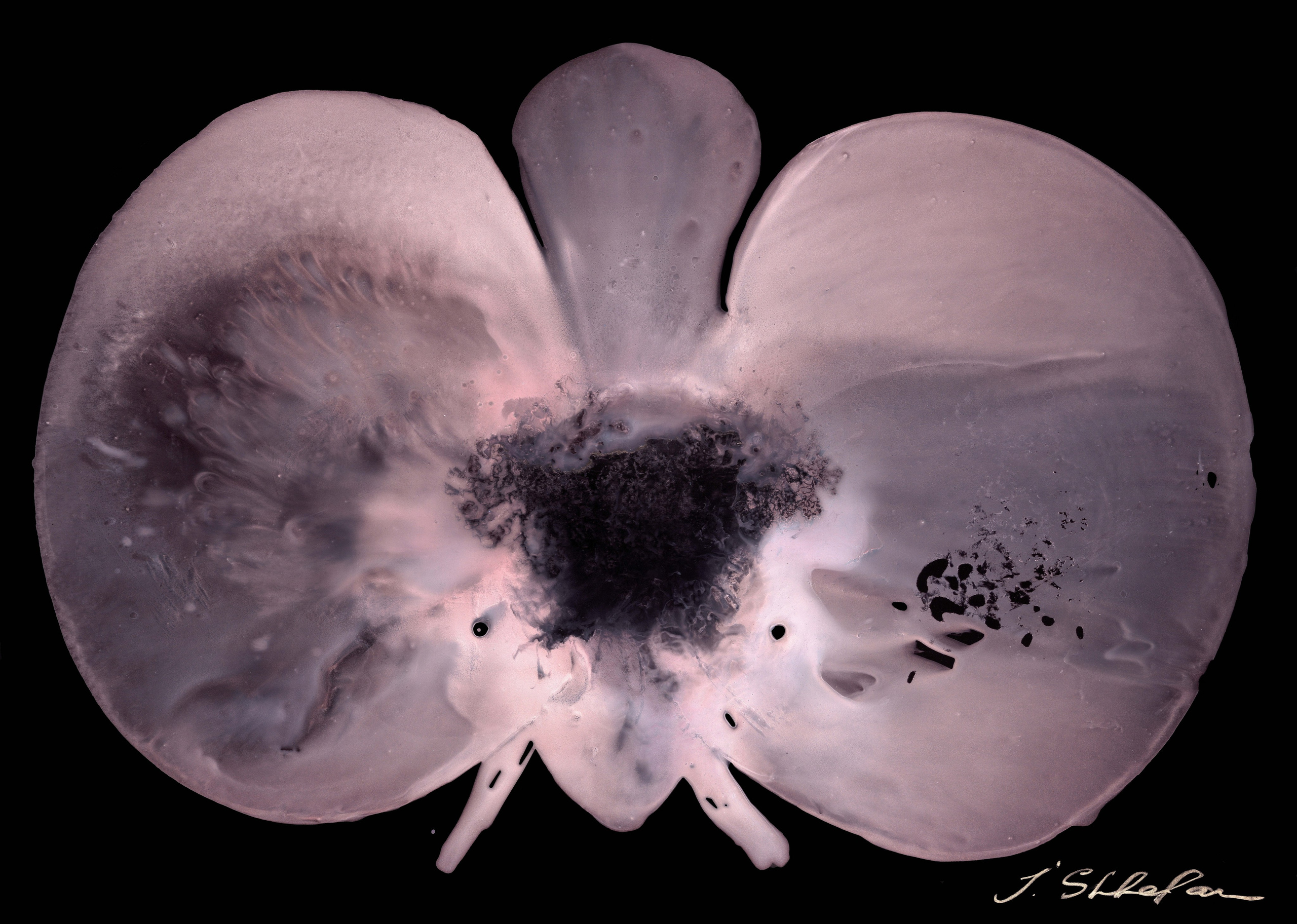 Картина художника Flors, Барселона, Европа, 2023–2025, размер 105×75 см, акрил пластик Painting by artist Flors, Barcelona, Europe, 2023–2025, size 105×75 cm, acrylic plastic Pintura del artista Flors, Barcelona, Europa, 2023–2025, tamaño 105×75 cm, acrílico plástico картина в интерьер, дизайн картина цветы орхидея интерьерная картина, pintura en el interior, pintura de diseño flores orquídeas pintura interior, painting in the interior, design painting flowers orchid interior painting