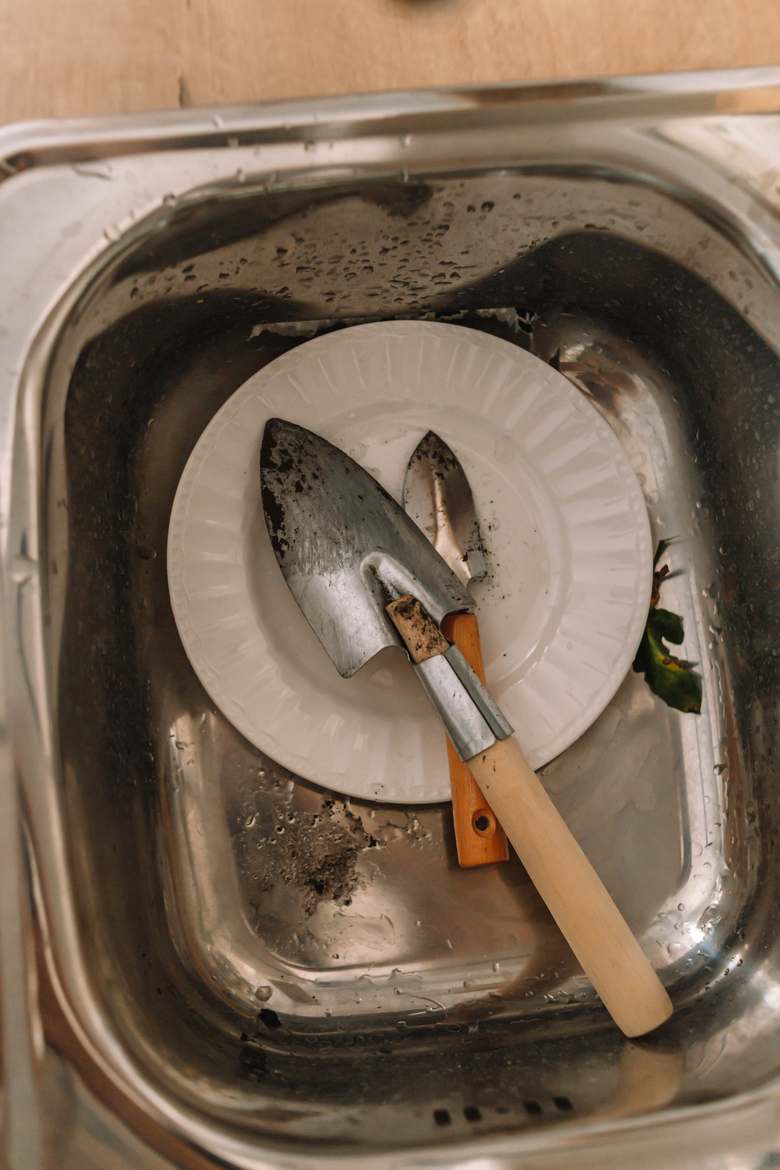 Люди. Фотограф Олеся Кавлакан