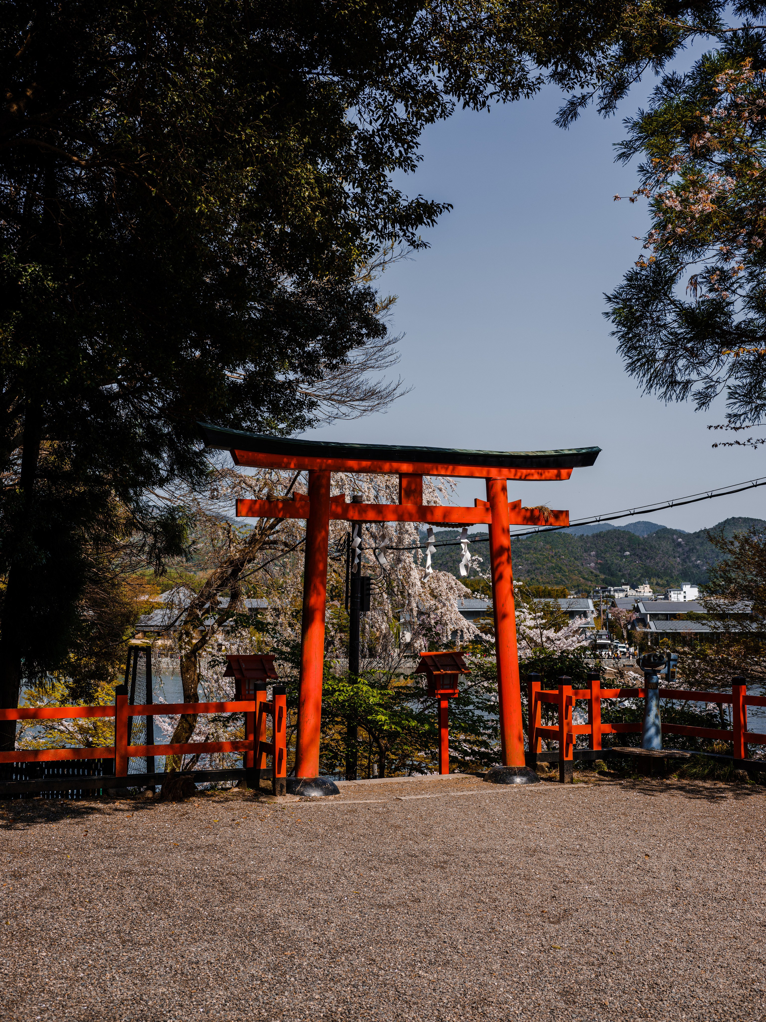 Невероятная Япония: Сезон Цветение Сакуры. Свадебный и Студийный фотограф из Казахстана Артем Орлянский