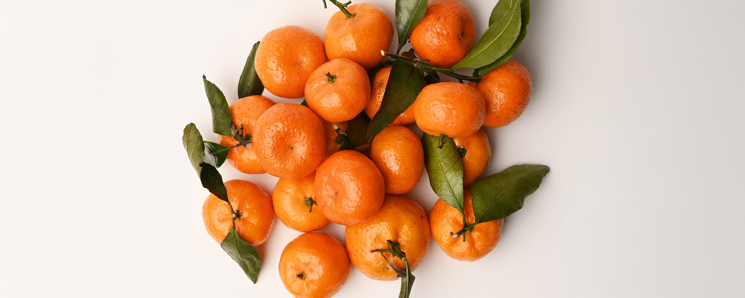 Заказать съемку. De_ross photo. Москва. Санкт-Петербург. Россия