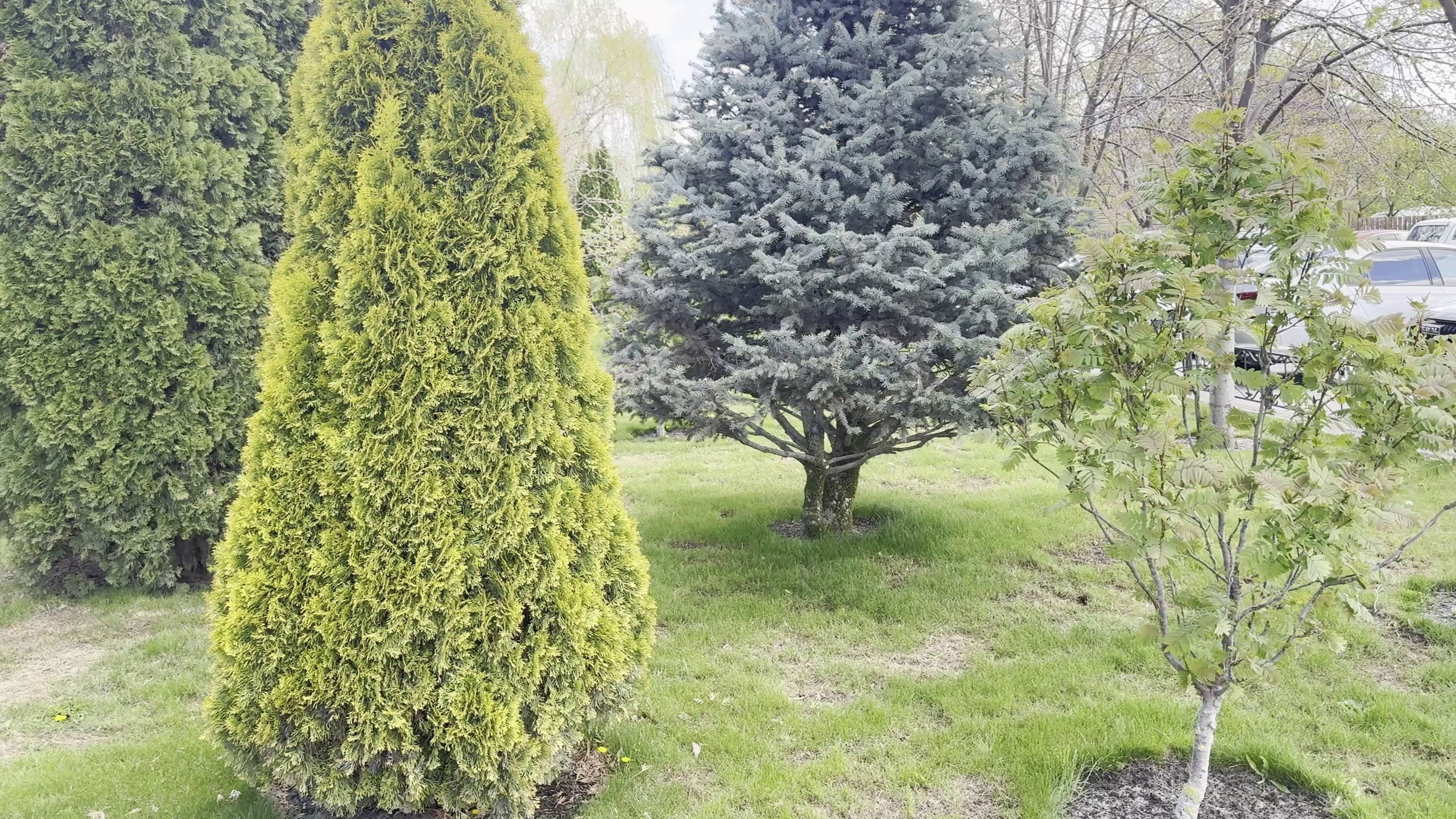Тур в парк Лога из Волгограда | Пятиморск: Вне маршрутов