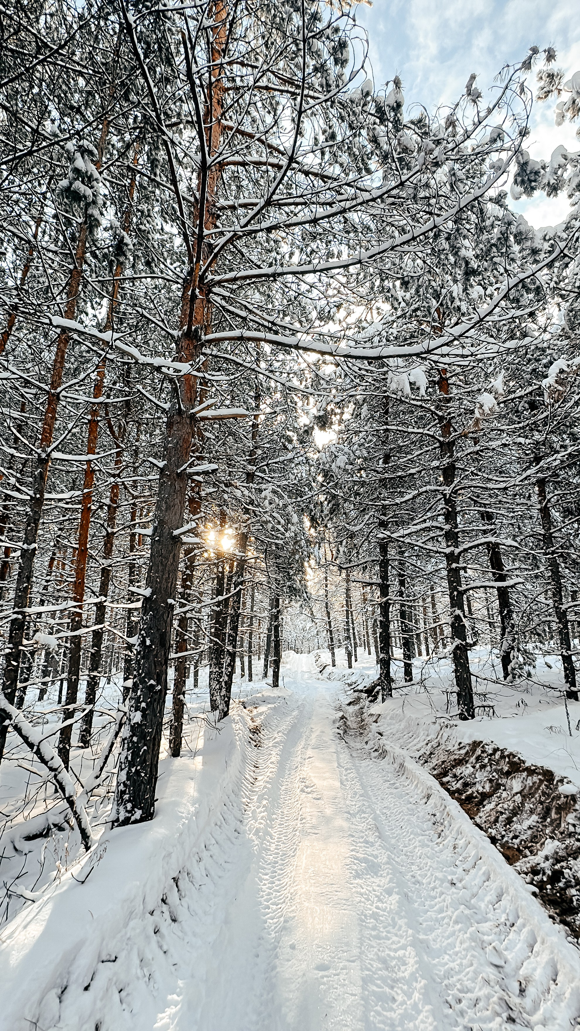 Аренда квадроциклов, питбайков, эндуро, багги, гидроциклов в Тольятти