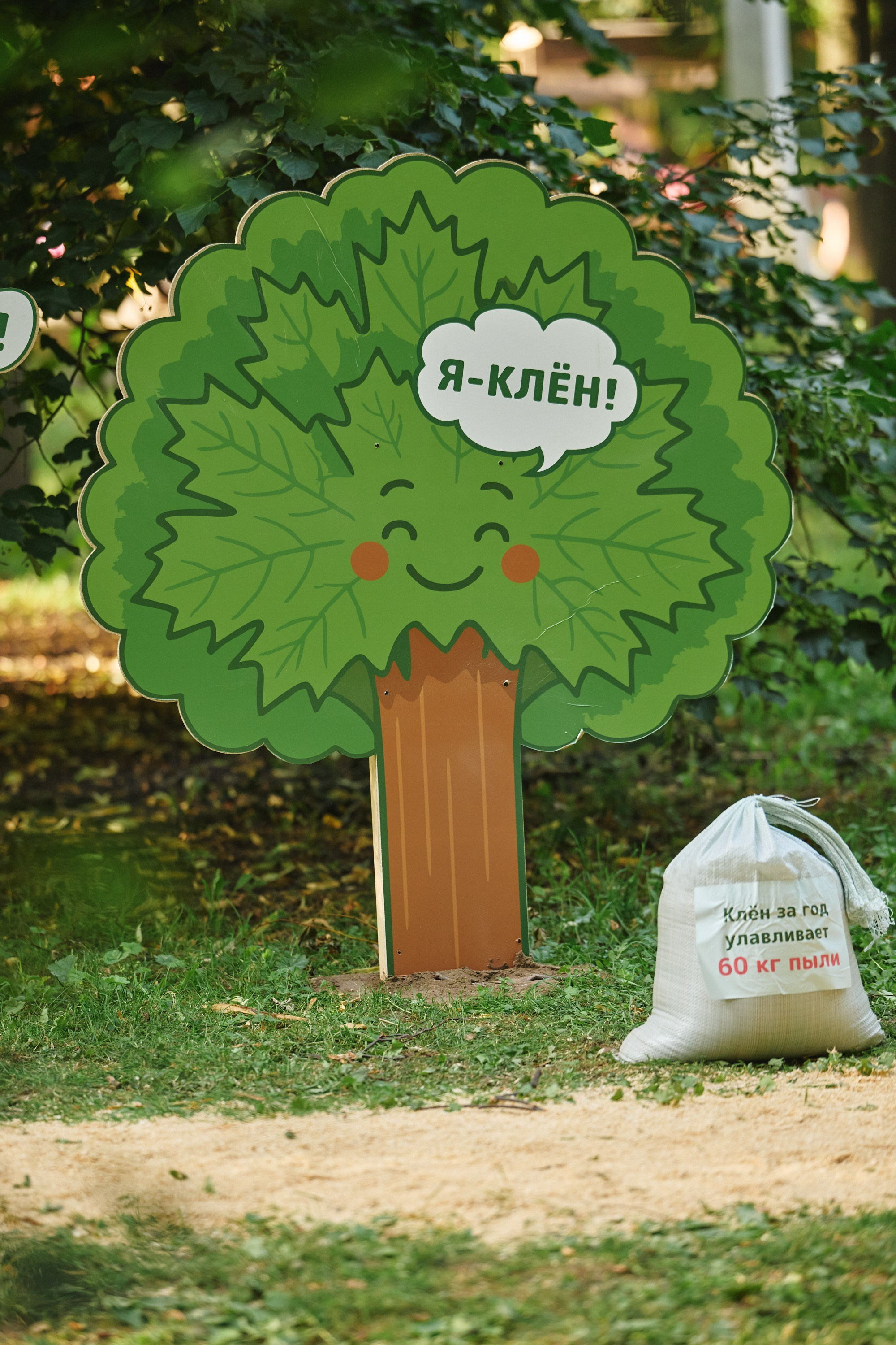 Ива фест 2025. Фотограф в Иваново: Каталожная съемка одежды и постельного белья, Wildberries