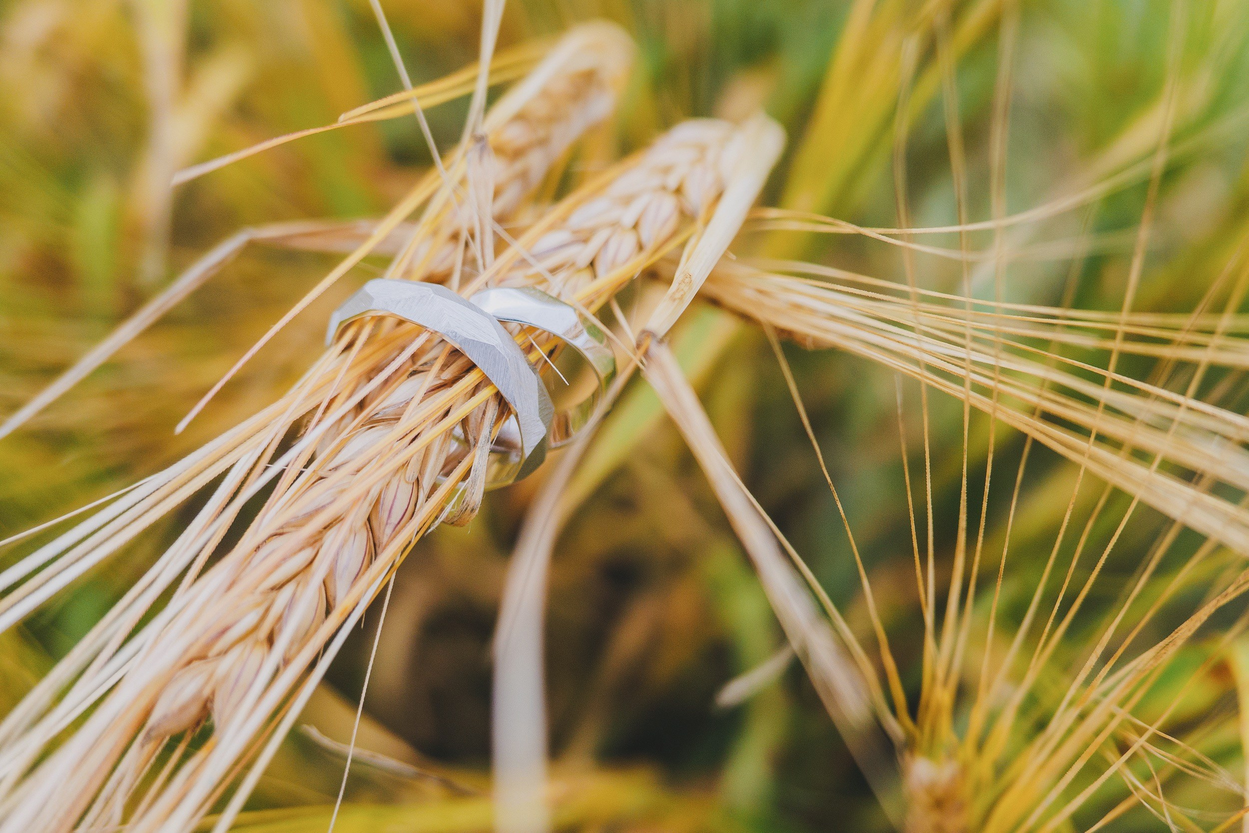 Фотограф и оператор-постановщик в Санкт-Петербурге Беликов Валентин