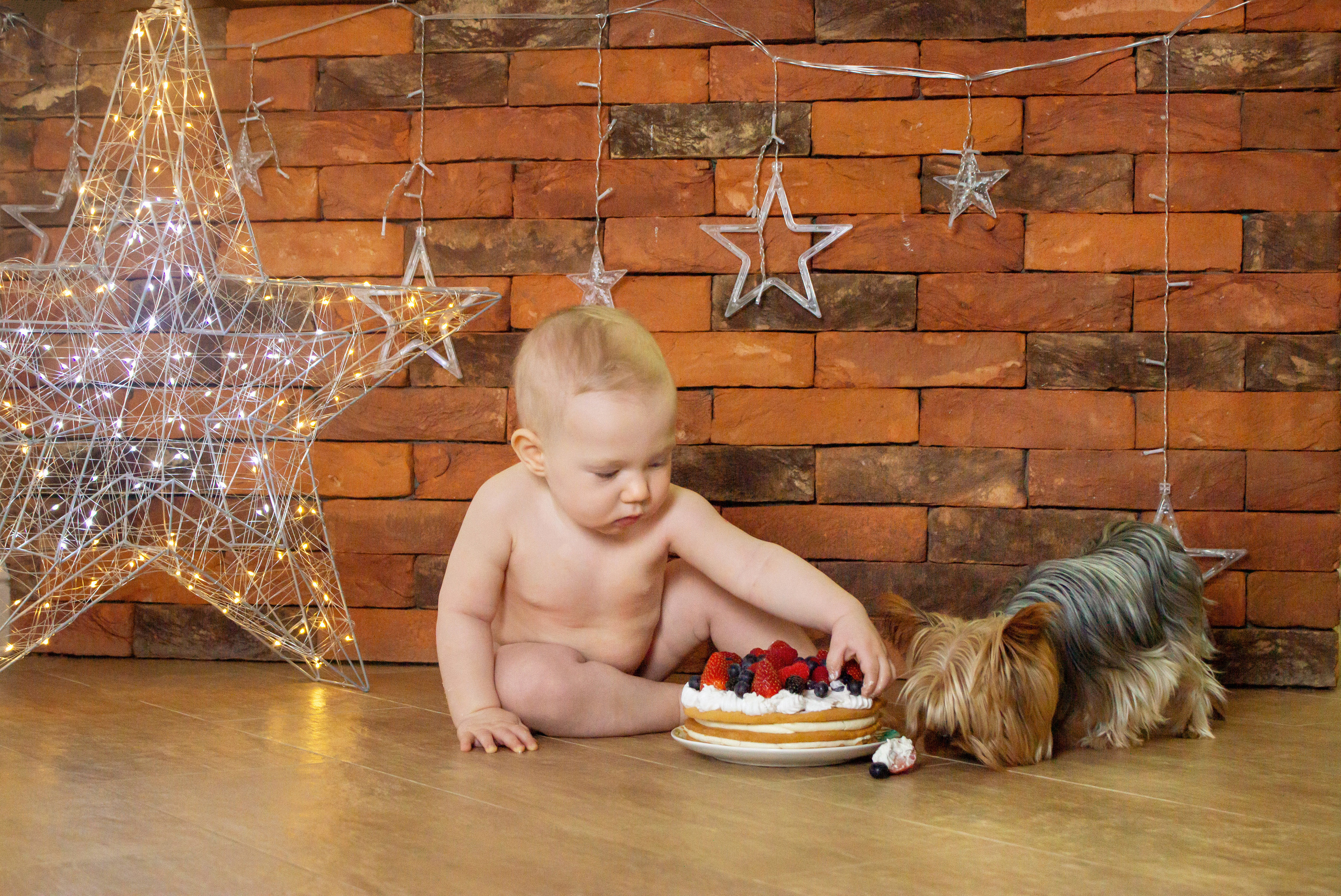 Годовасик Максик. Семейный и детский фотограф Ростов-на-Дону Кылосова Елена