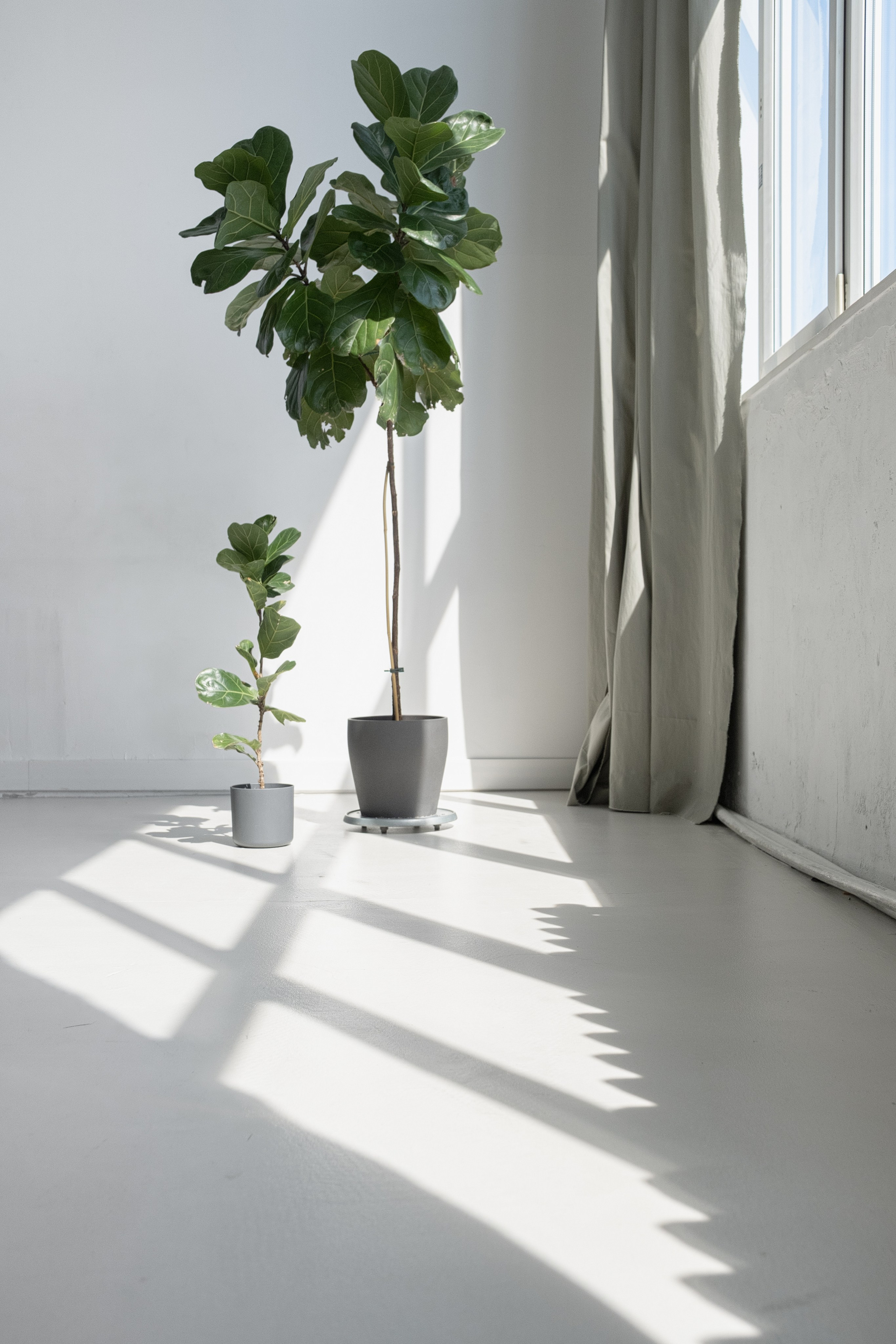 Зал № 6 Ката от 1200 руб, 120 м². «5loft» фотостудия в Ижевске