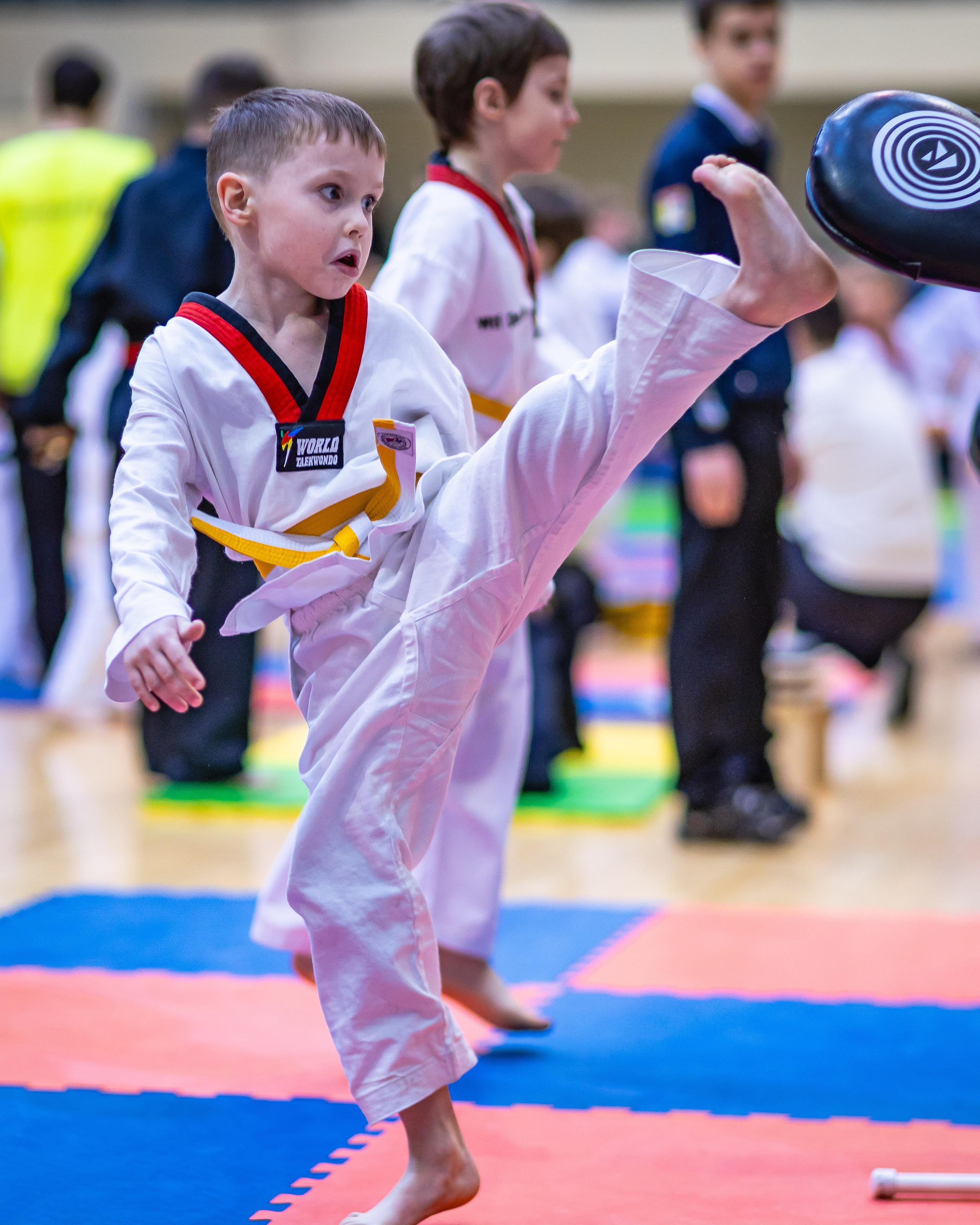 Первенство ВДЮФСОО «ФЕДЕРАЦИЯ ДЕТСКОГО ТХЭКВОНДО РОССИИ» и МОО СПКЕ «ЭРИДАН» по «СИЛОВОМУ МНОГОБОРЬЮ». Спортивный фотограф Максим Серегин