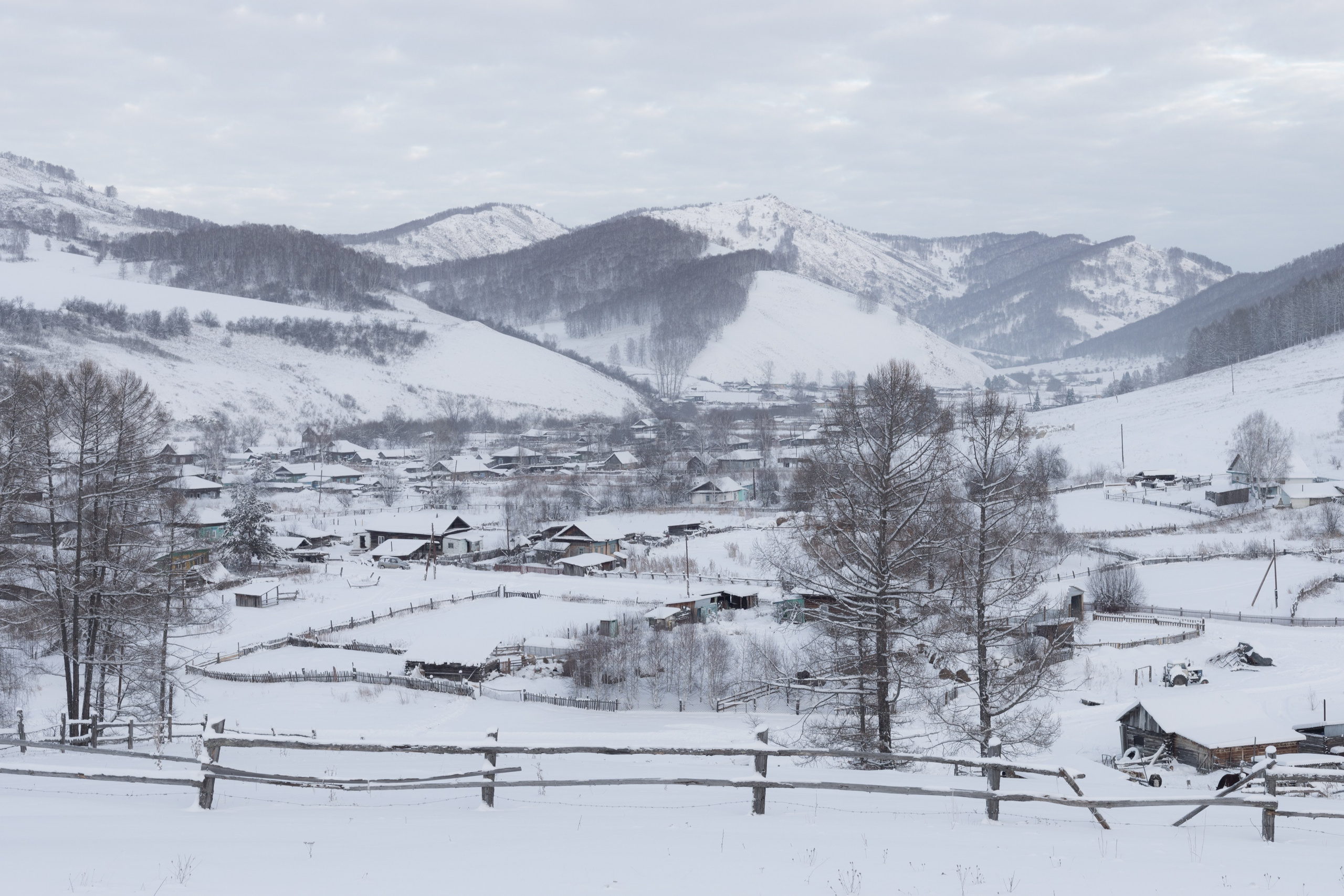 Алтай. Надежда Крылова