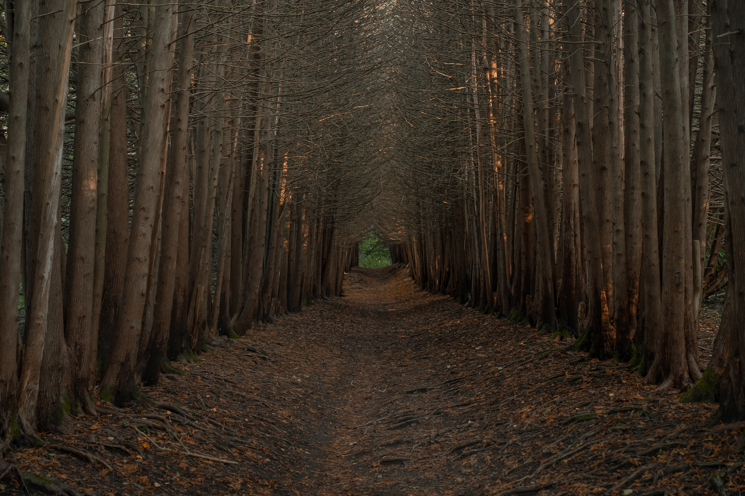 Извилистые терренкуры. Юля Дэй • Фотограф, Санкт-Петербург