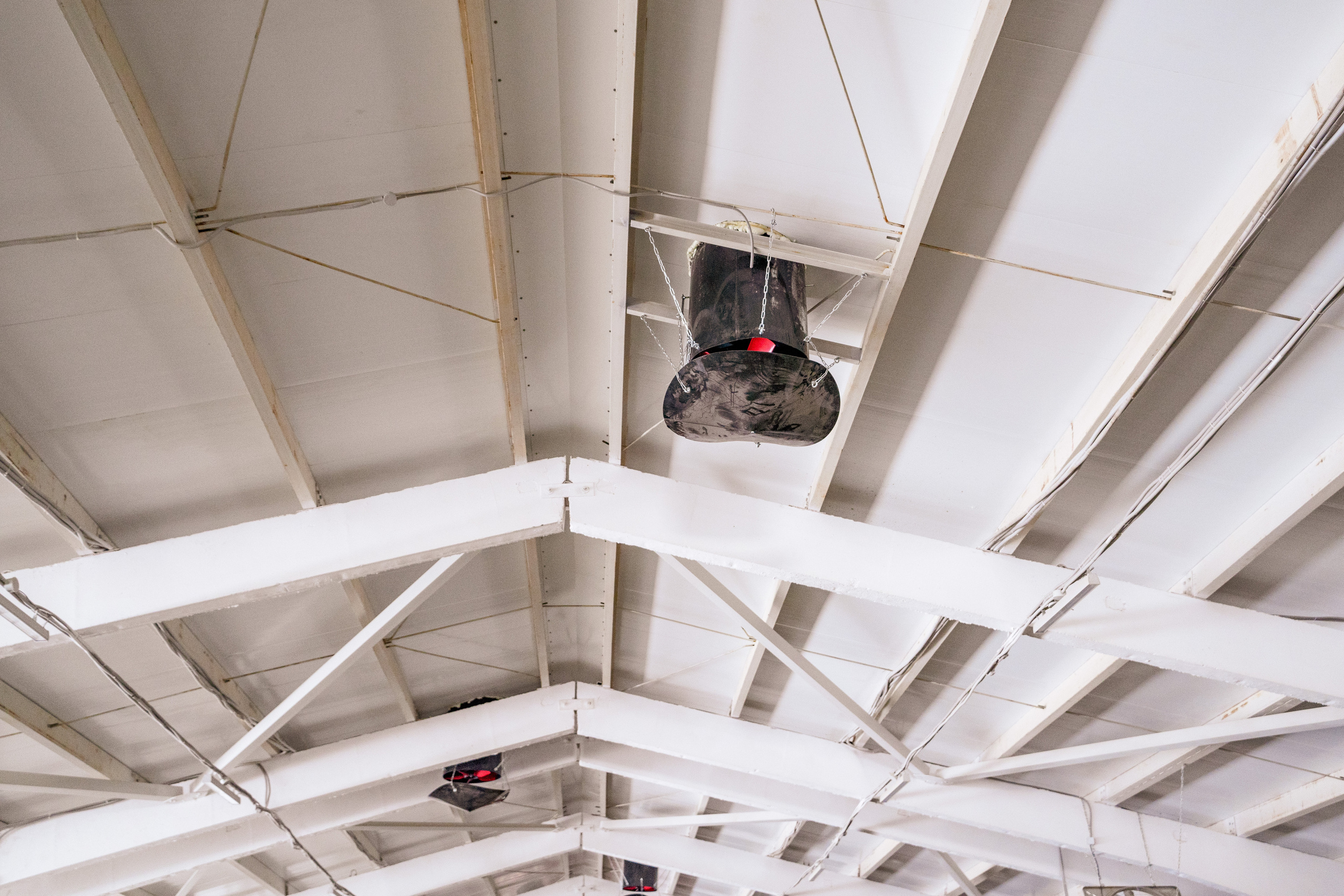 Фотосессия на молочной ферме «Белгранкорм» (г. Великий Новгород, 2022